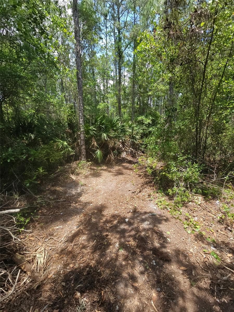 Land at 1411 ELDER ST, BUNNELL, photo 6 of 10