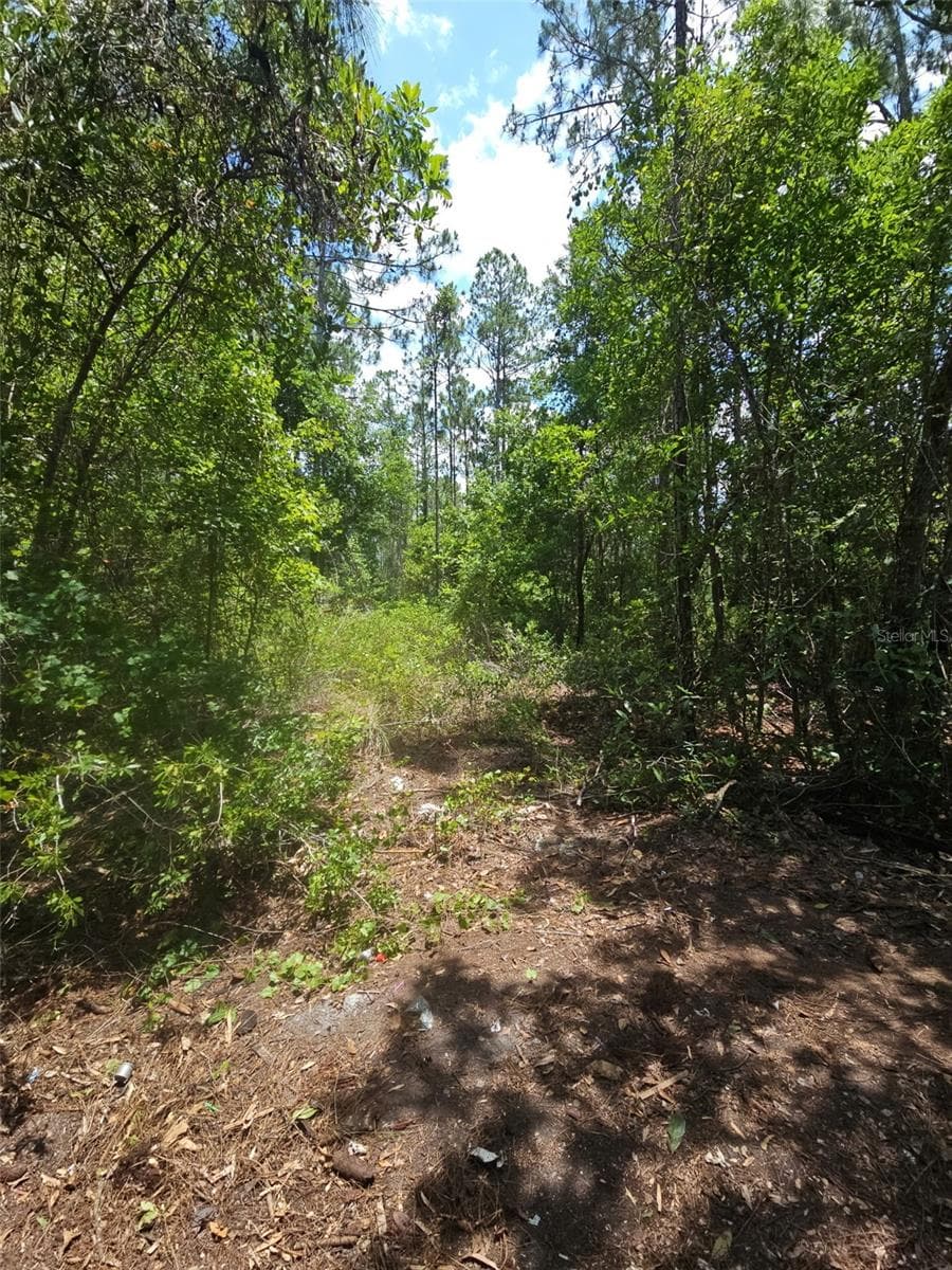 Land at 1411 ELDER ST, BUNNELL, photo 7 of 10