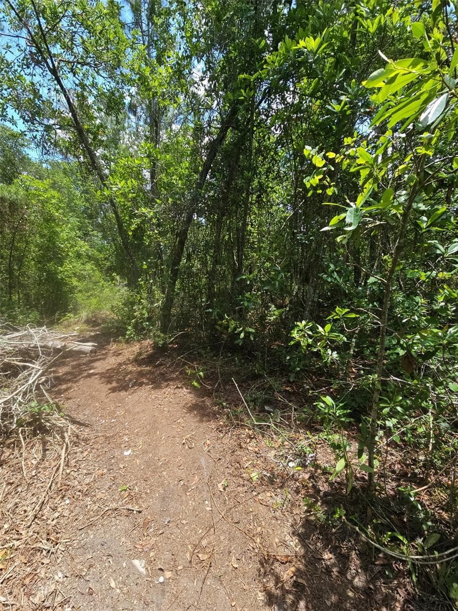 Land at 1411 ELDER ST, BUNNELL, photo 8 of 10