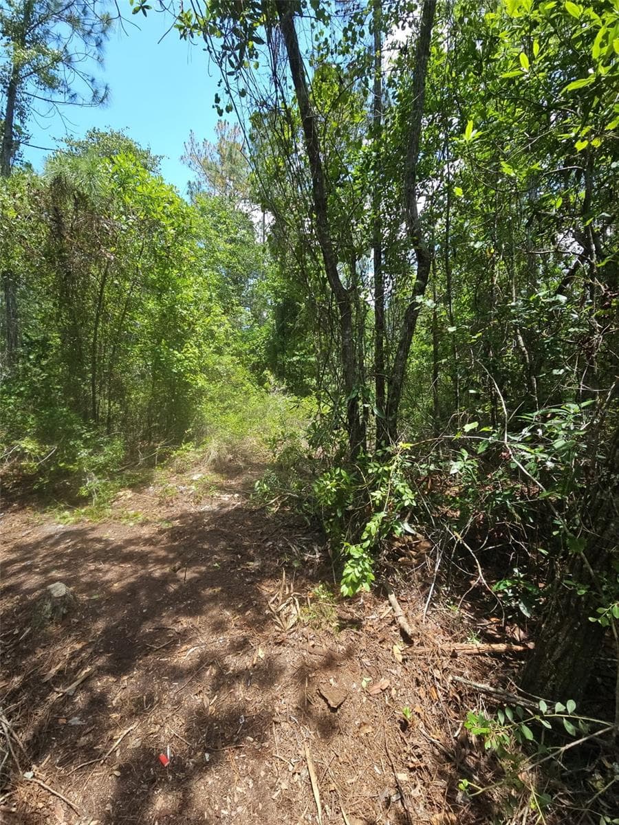 Land at 1411 ELDER ST, BUNNELL, photo 9 of 10