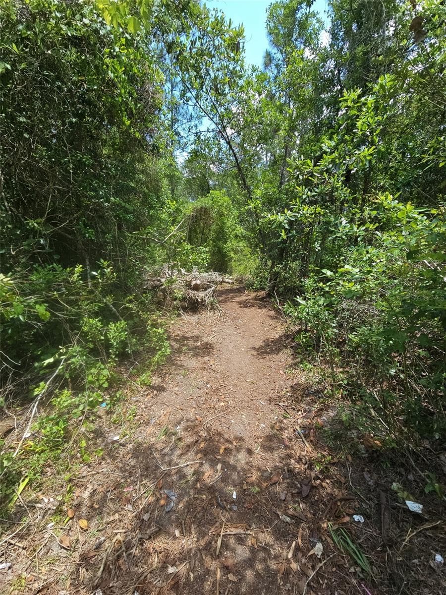 Land at 1411 ELDER ST, BUNNELL, photo 10 of 10