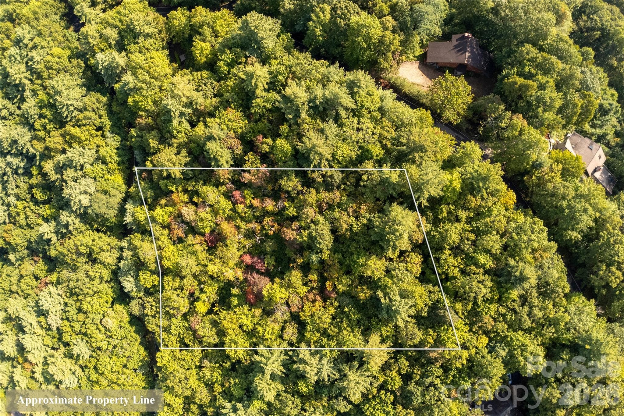 Lot at Lake Toxaway, photo 8 of 14