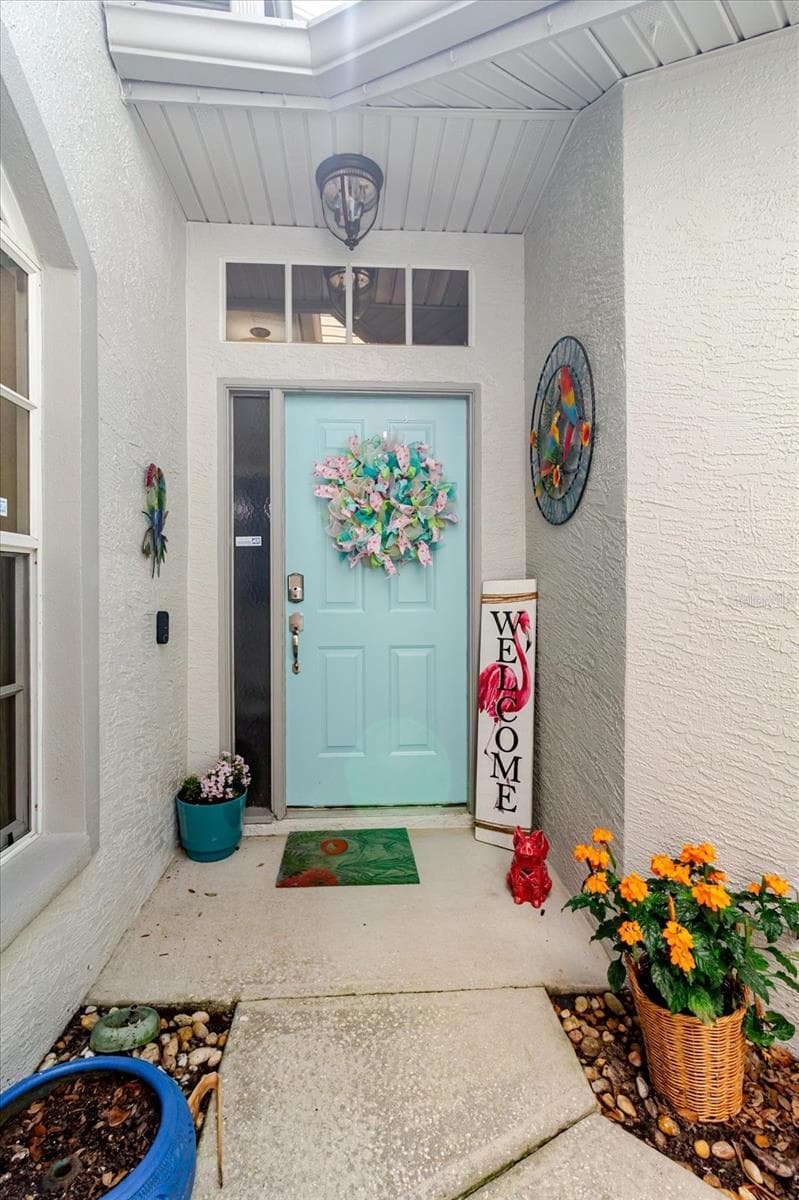 Front Walkway - 2976 FIELDBROOK PL, CLEARWATER