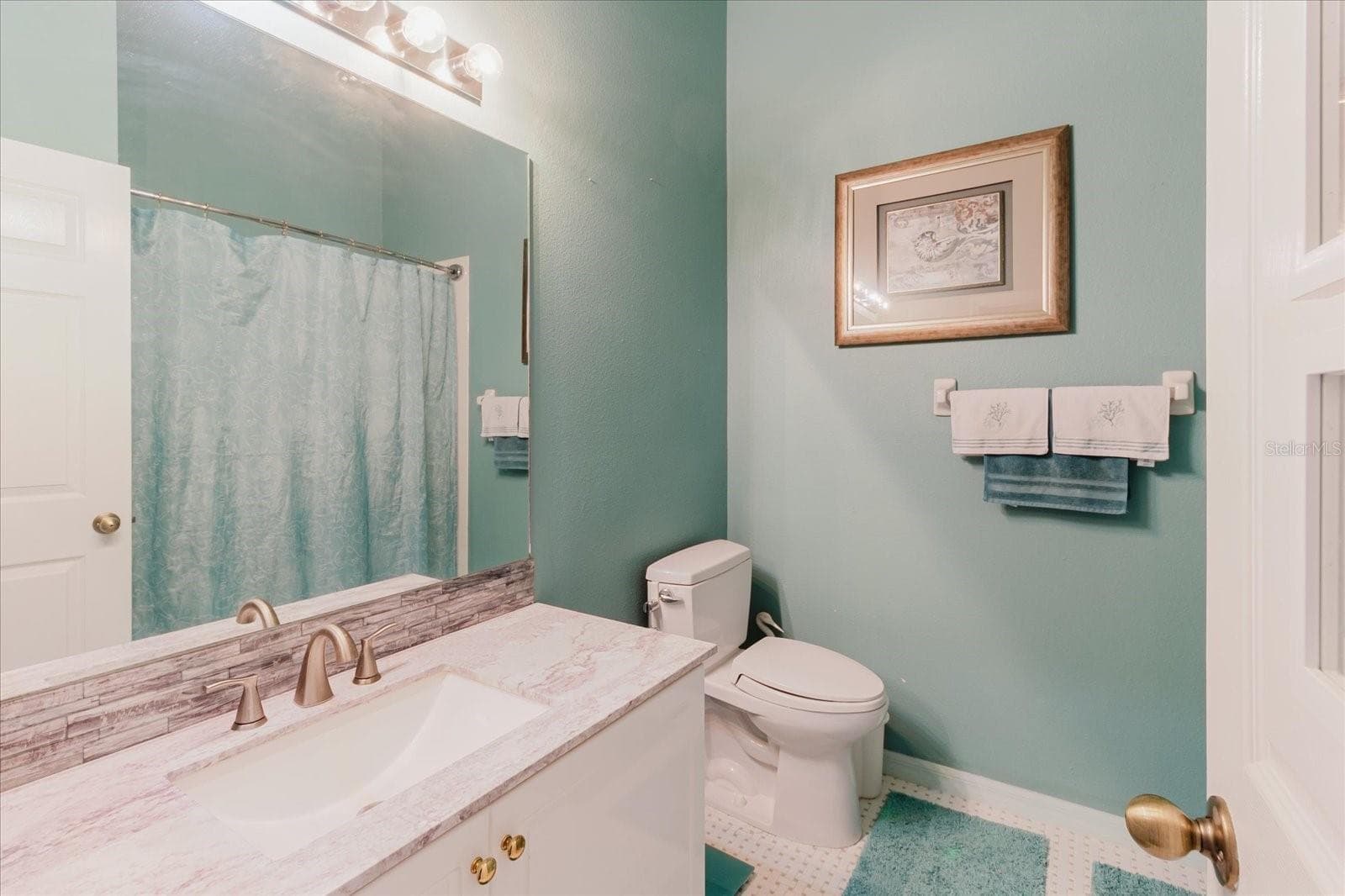Guest Bath - 2976 FIELDBROOK PL, CLEARWATER