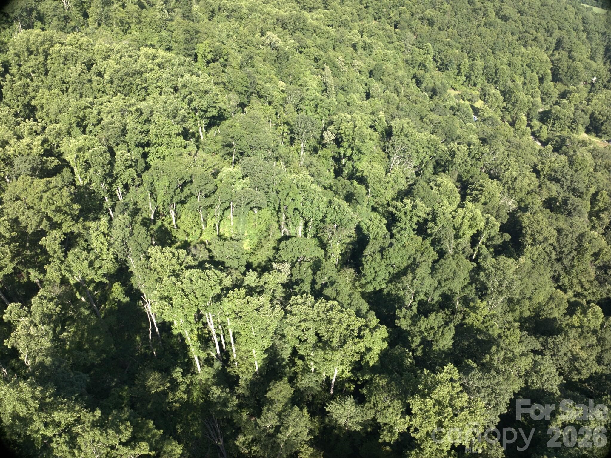 Acreage at Weaverville, photo 2 of 18