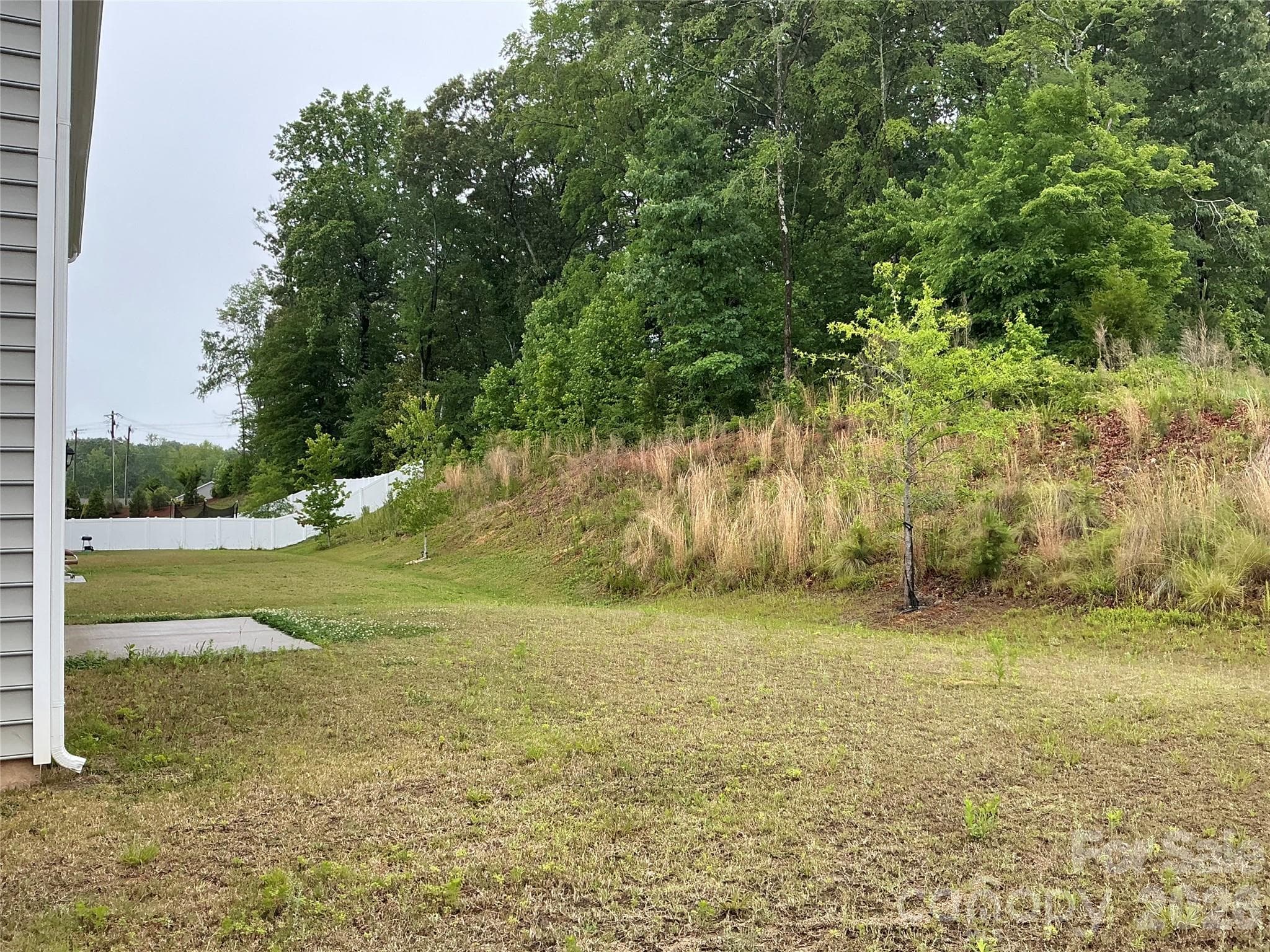 Backyard - 534 Yellow Birch Drive, Locust