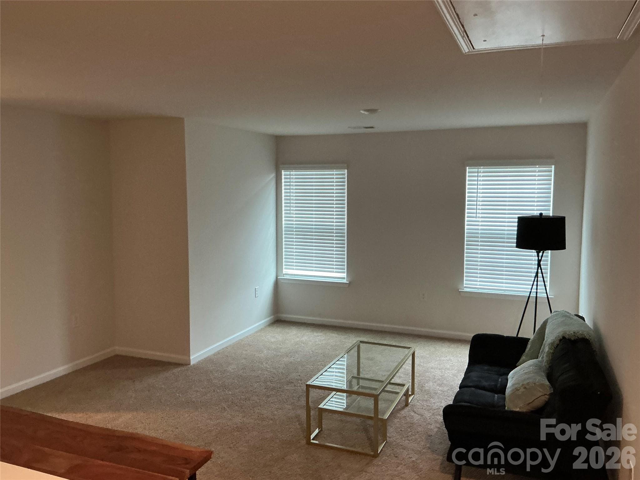 Loft - 534 Yellow Birch Drive, Locust