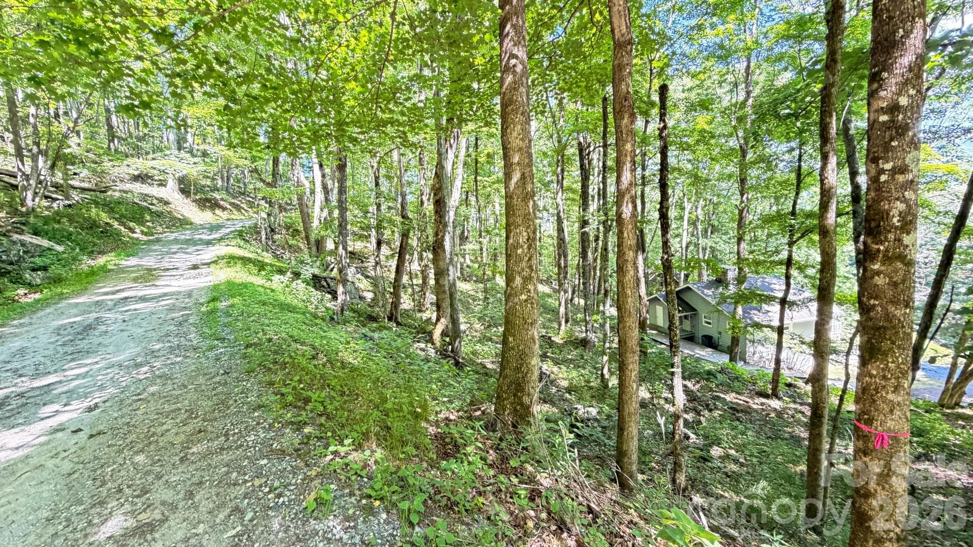 Lot at TBD Greencove Drive, Seven Devils, photo 4 of 39