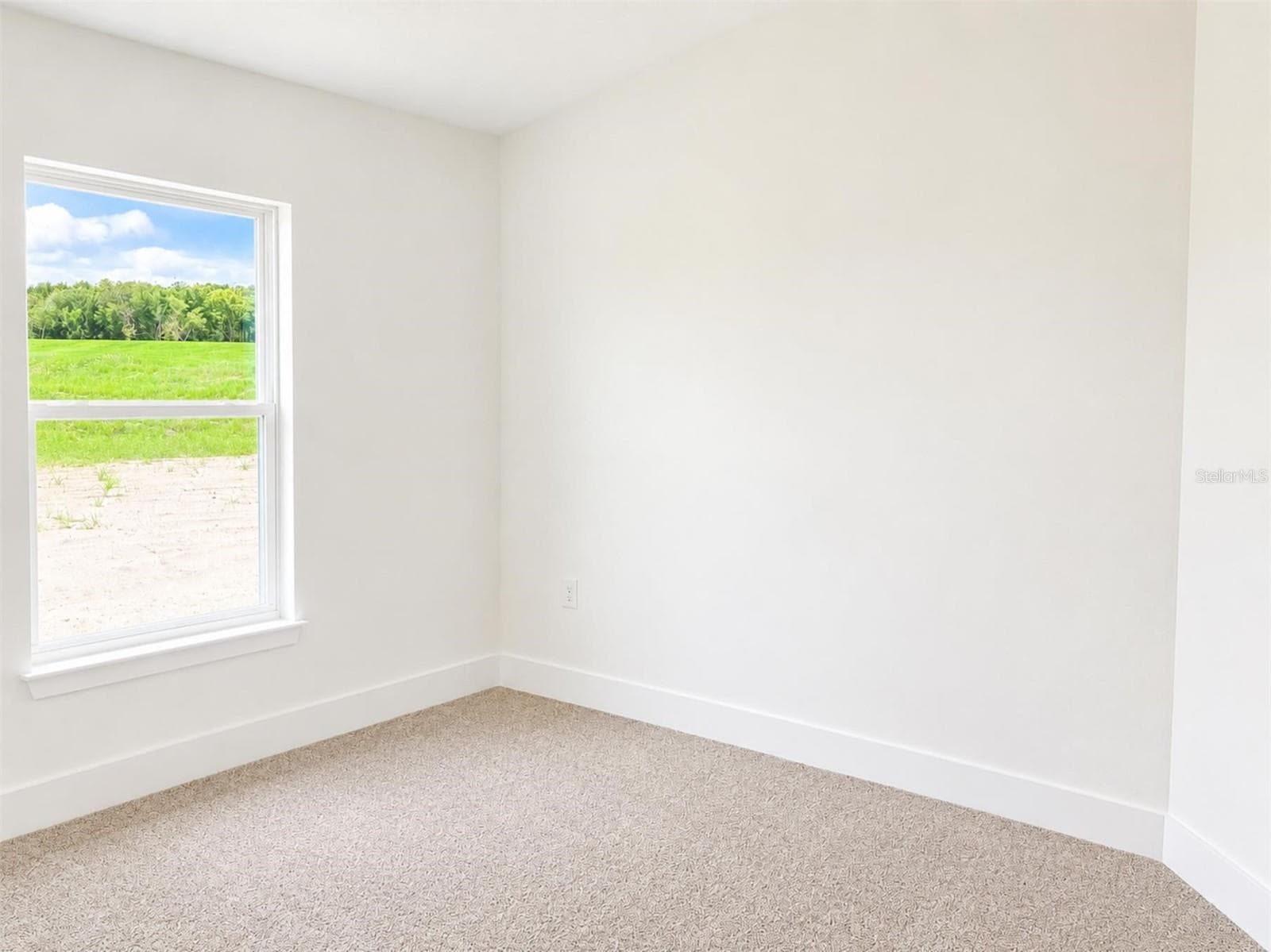 Virtually enhanced - 247 VERNY GROVE LN, LEESBURG