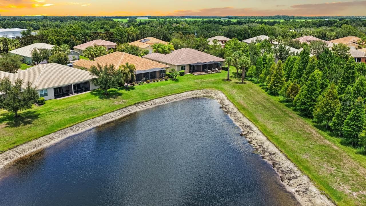 Back of House - 15665 AURORA LAKE CIR, WIMAUMA