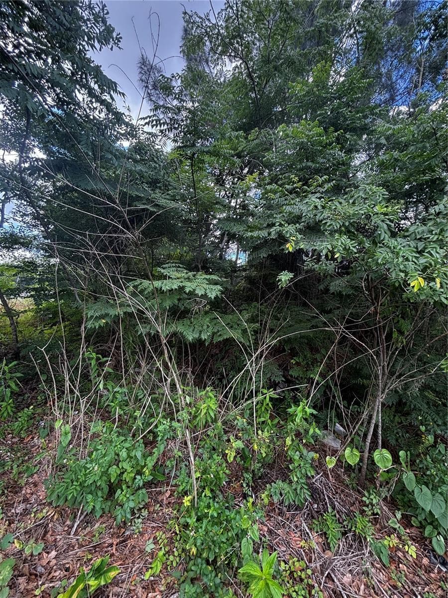 Land at LEE ST, BOWLING GREEN, photo 2 of 6