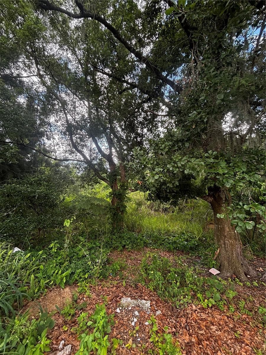 Land at LEE ST, BOWLING GREEN, photo 4 of 6