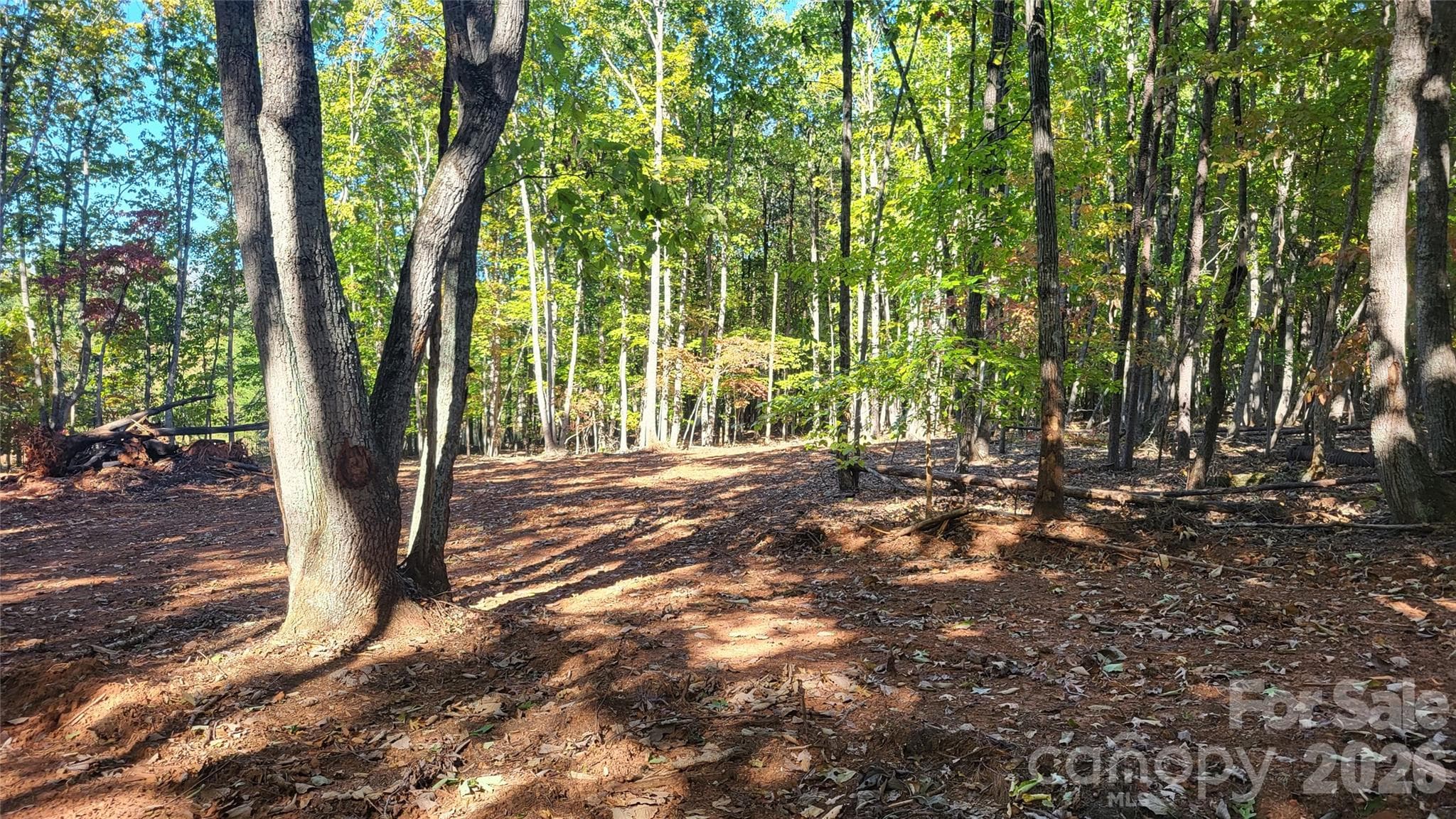 Acreage at 1056 Stephens Trail Road, Sandy Ridge, photo 7 of 36