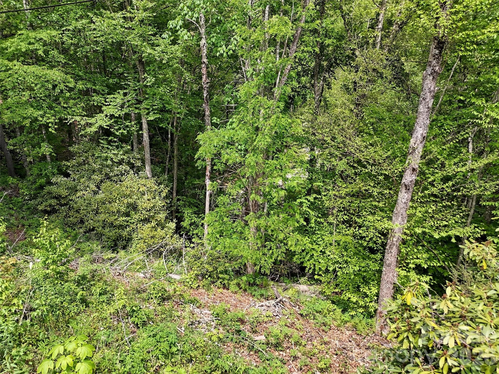 View of Property From Road - Maggie Valley