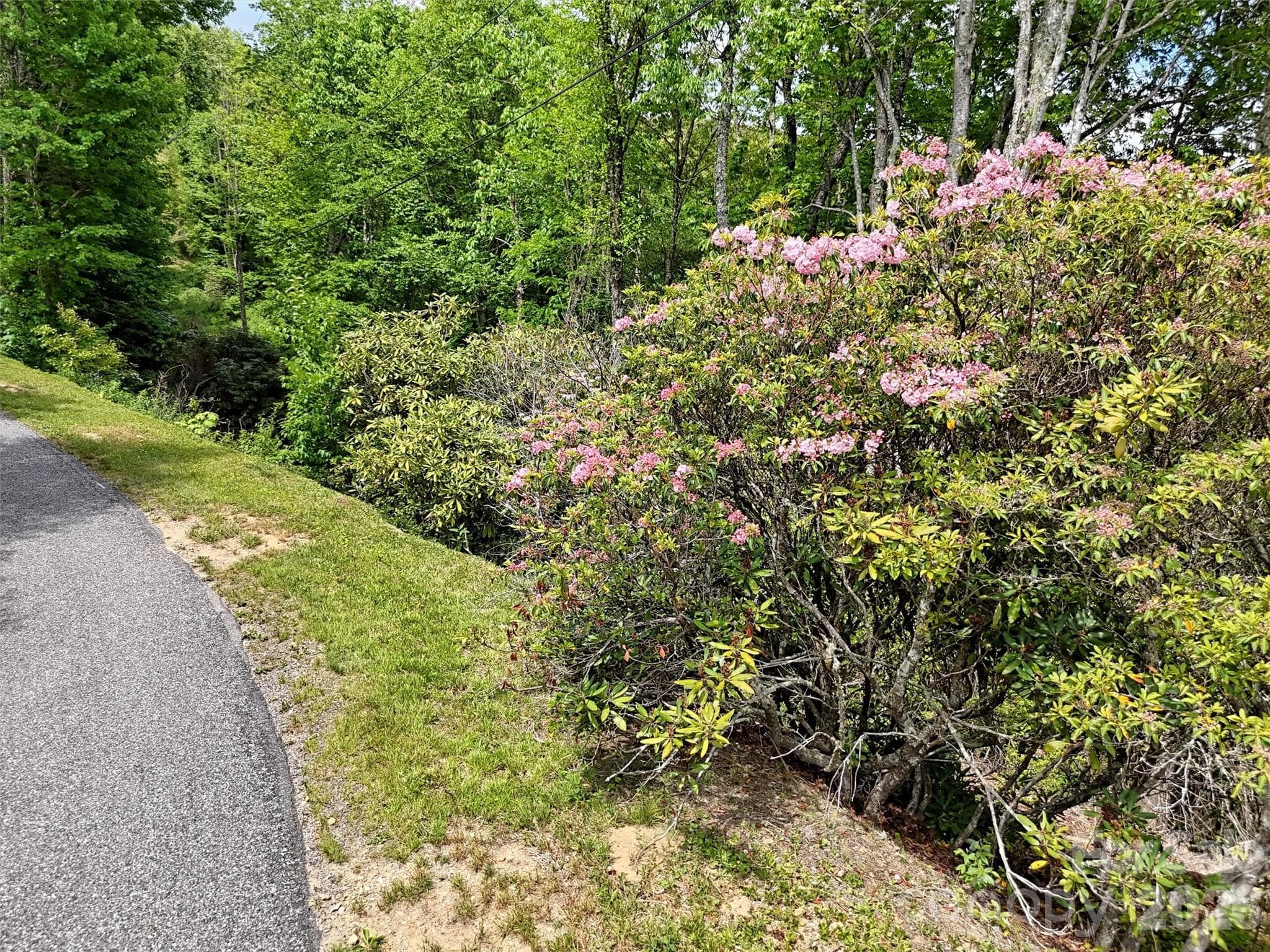 Property on Right - Maggie Valley