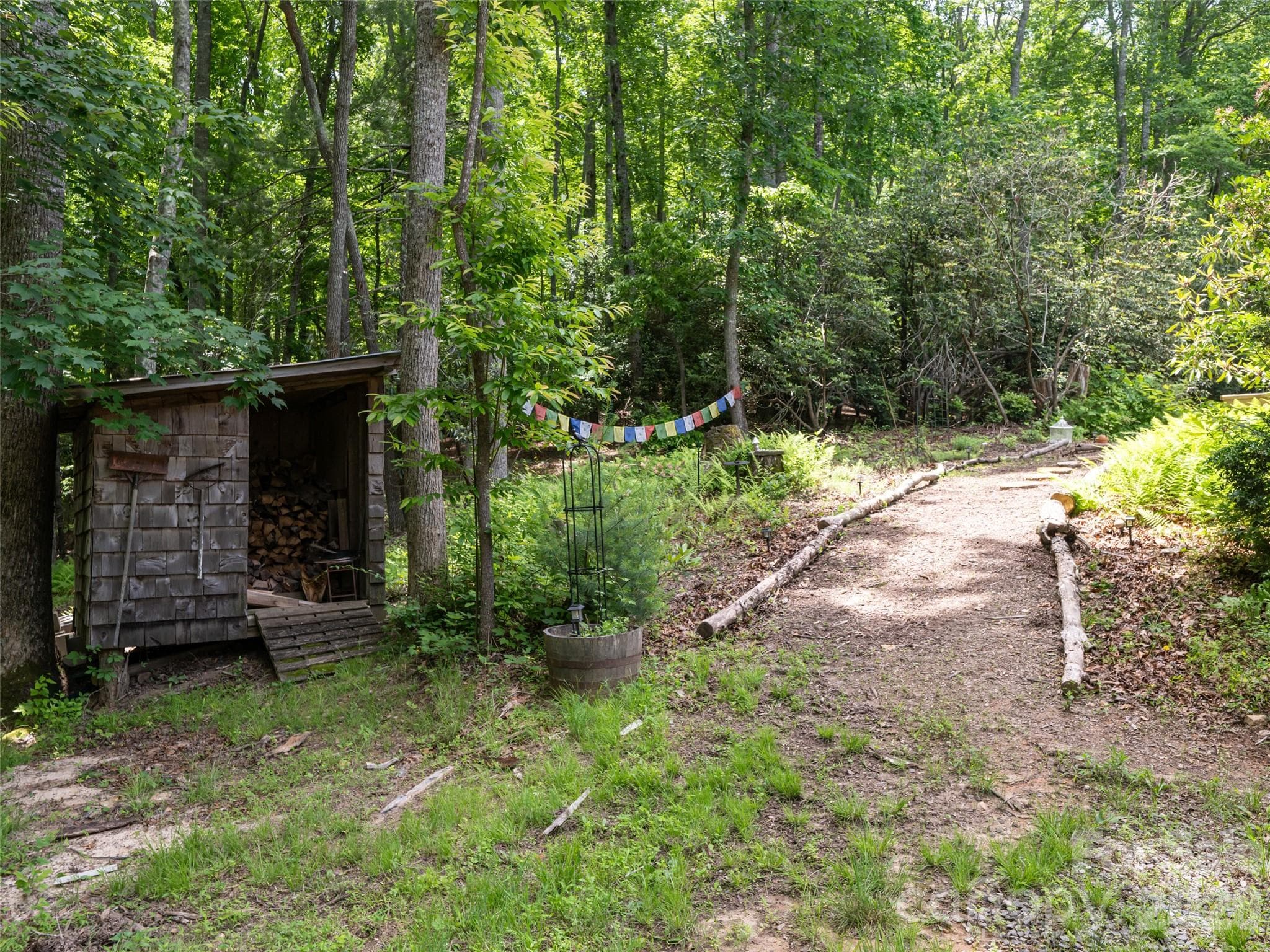 Private trails leading into Pisgah National Forest - walk, ride horses, 4 wheeler, whatever your fun! - 508 Avery Creek Road, Arden
