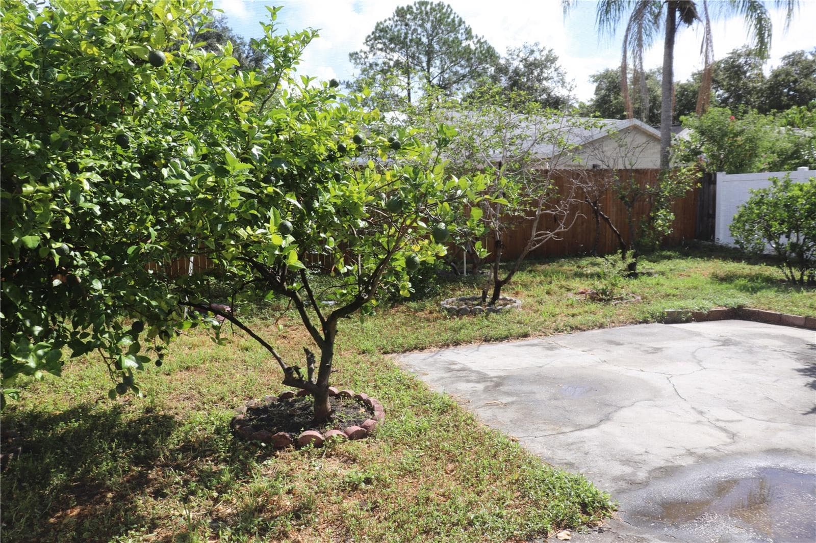 Single Family Residence at 11012 BRIGHTSIDE DR, TAMPA, photo 15 of 16