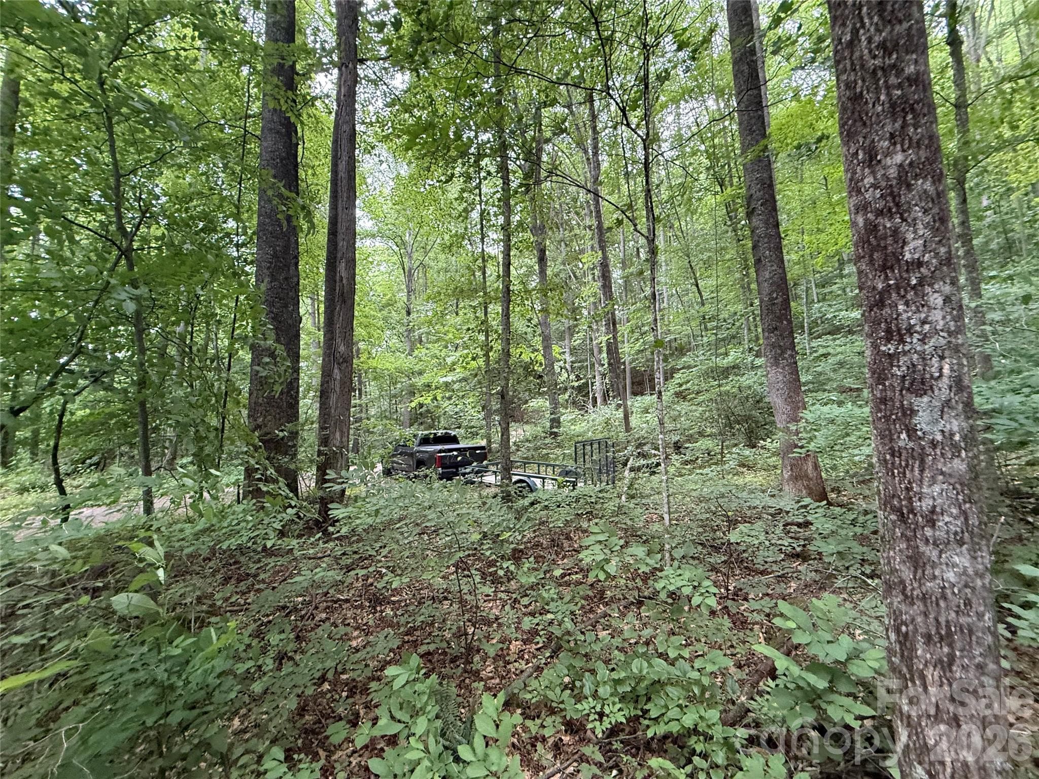 Lot at 9999 Countryside Estate, Barnardsville, photo 5 of 29