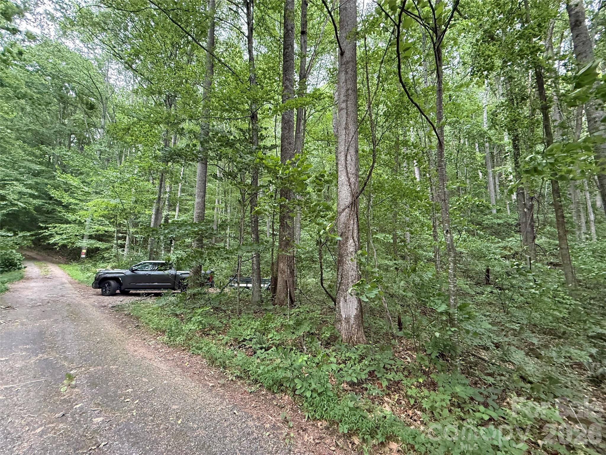 Lot at 9999 Countryside Estate, Barnardsville, photo 6 of 29
