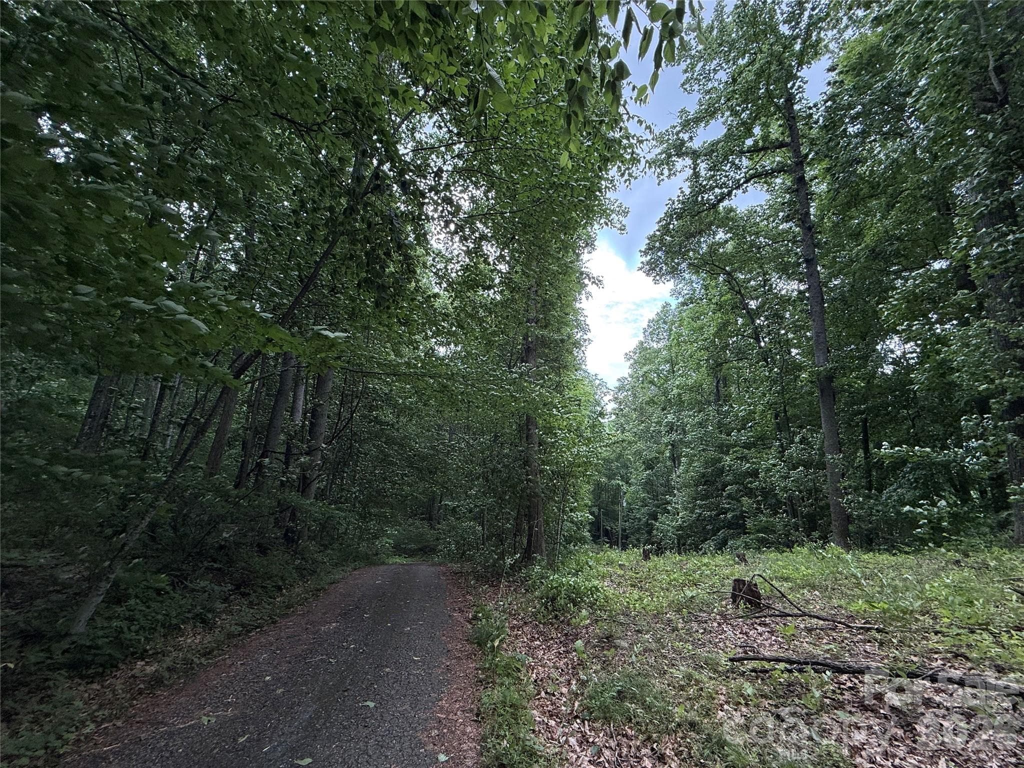 Lot at 9999 Countryside Estate, Barnardsville, photo 7 of 29