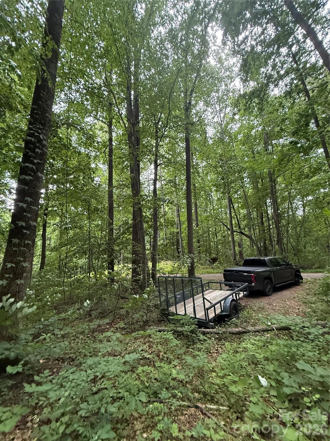Lot at 9999 Countryside Estate, Barnardsville, photo 8 of 29