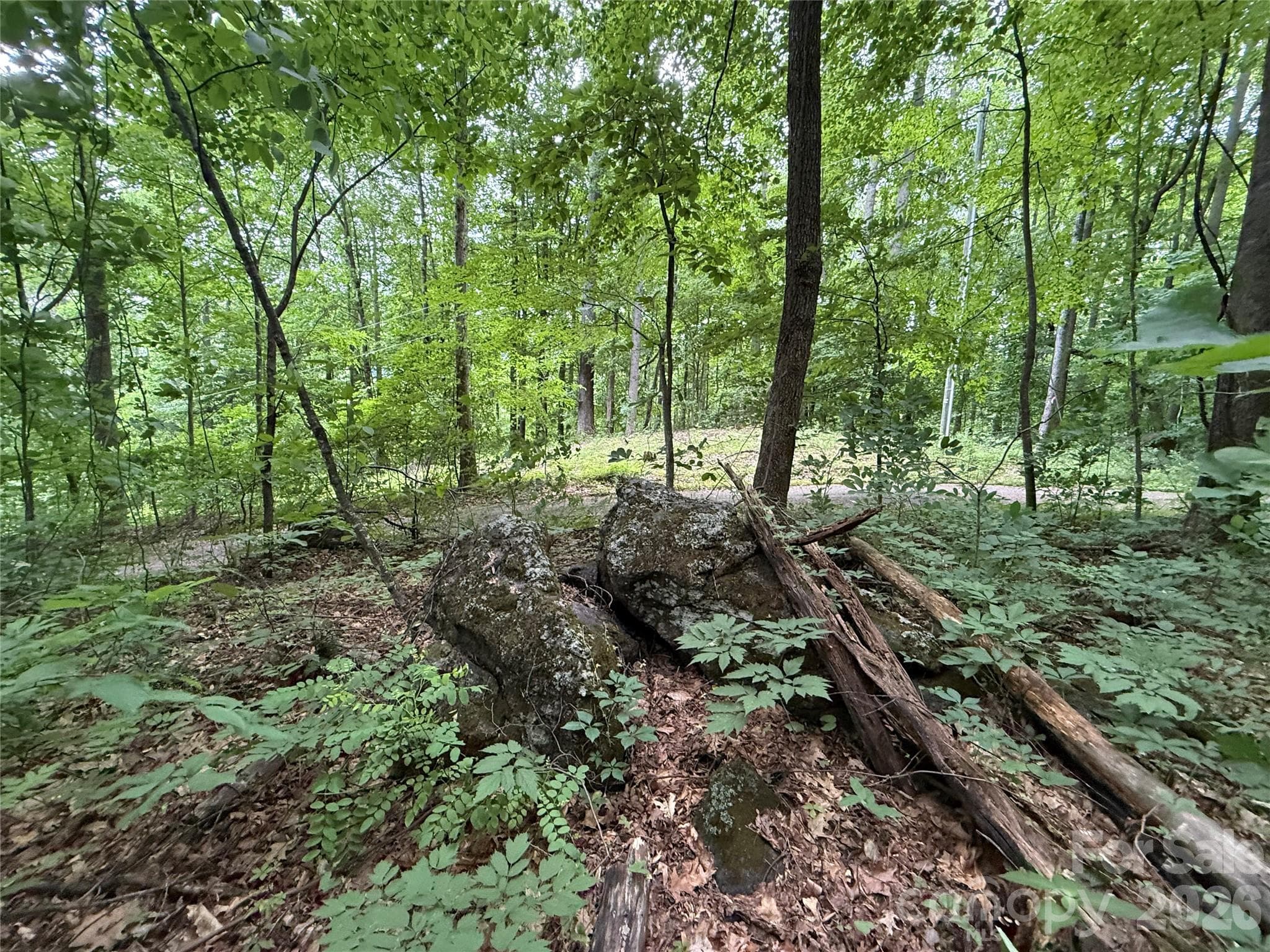 Lot at 9999 Countryside Estate, Barnardsville, photo 10 of 29