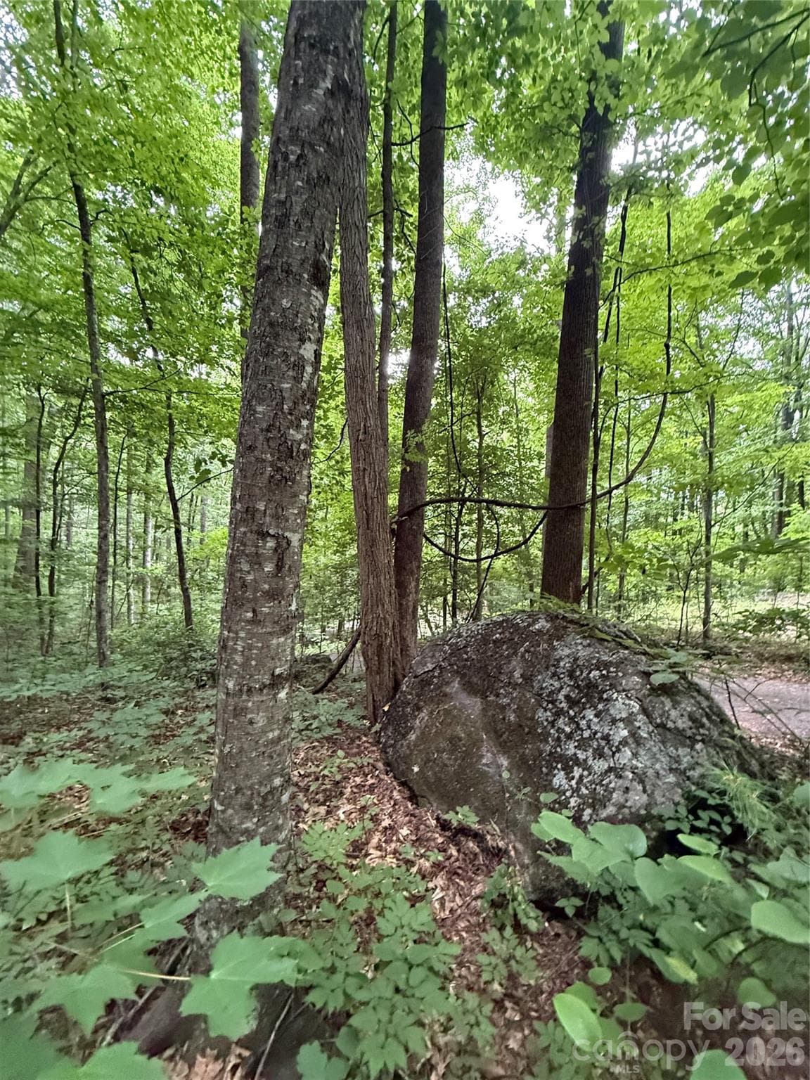 Lot at 9999 Countryside Estate, Barnardsville, photo 11 of 29
