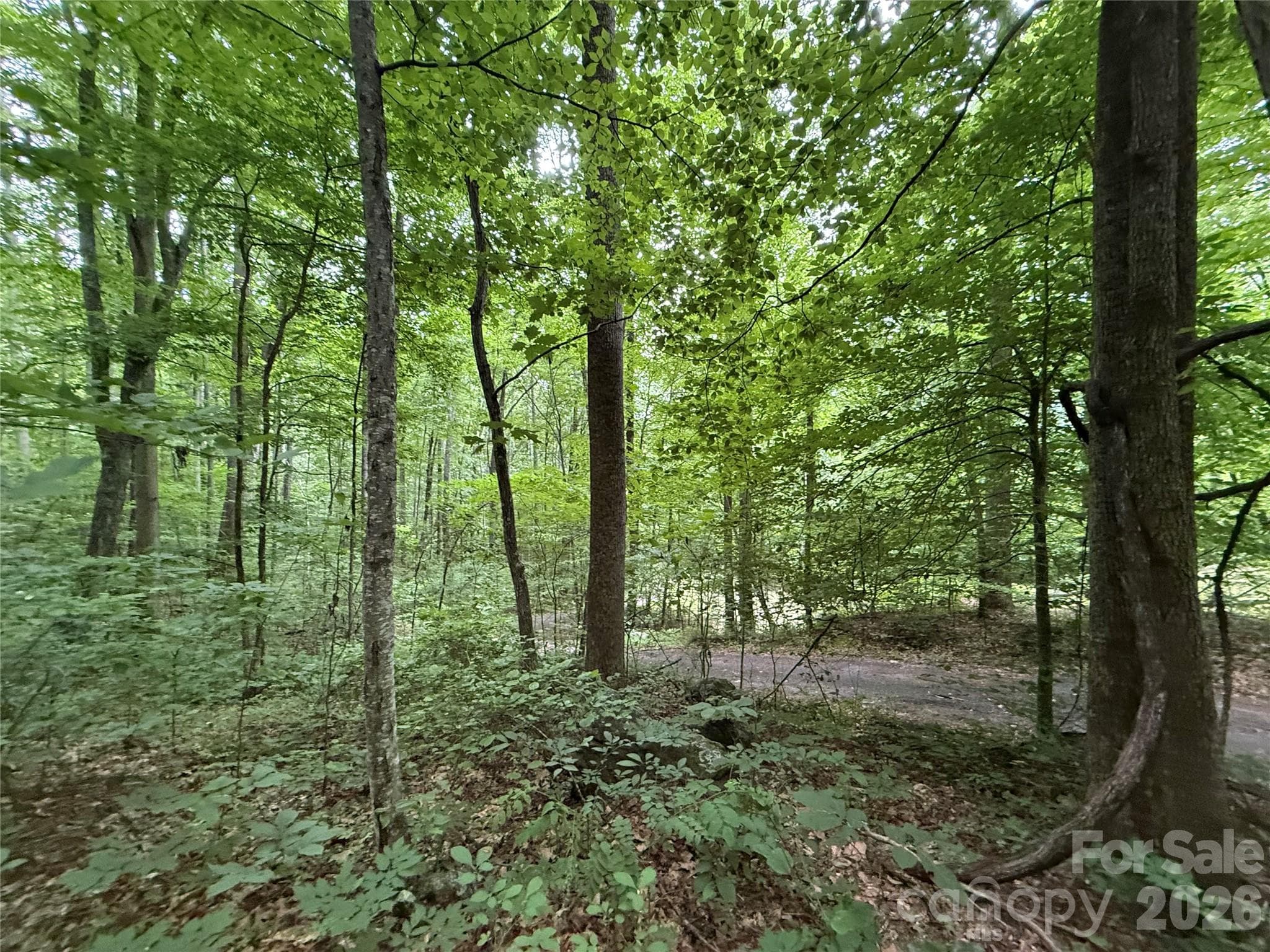 Lot at 9999 Countryside Estate, Barnardsville, photo 12 of 29