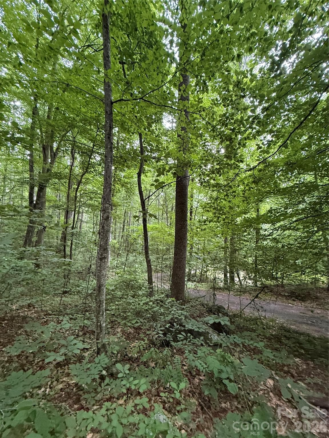 Lot at 9999 Countryside Estate, Barnardsville, photo 13 of 29