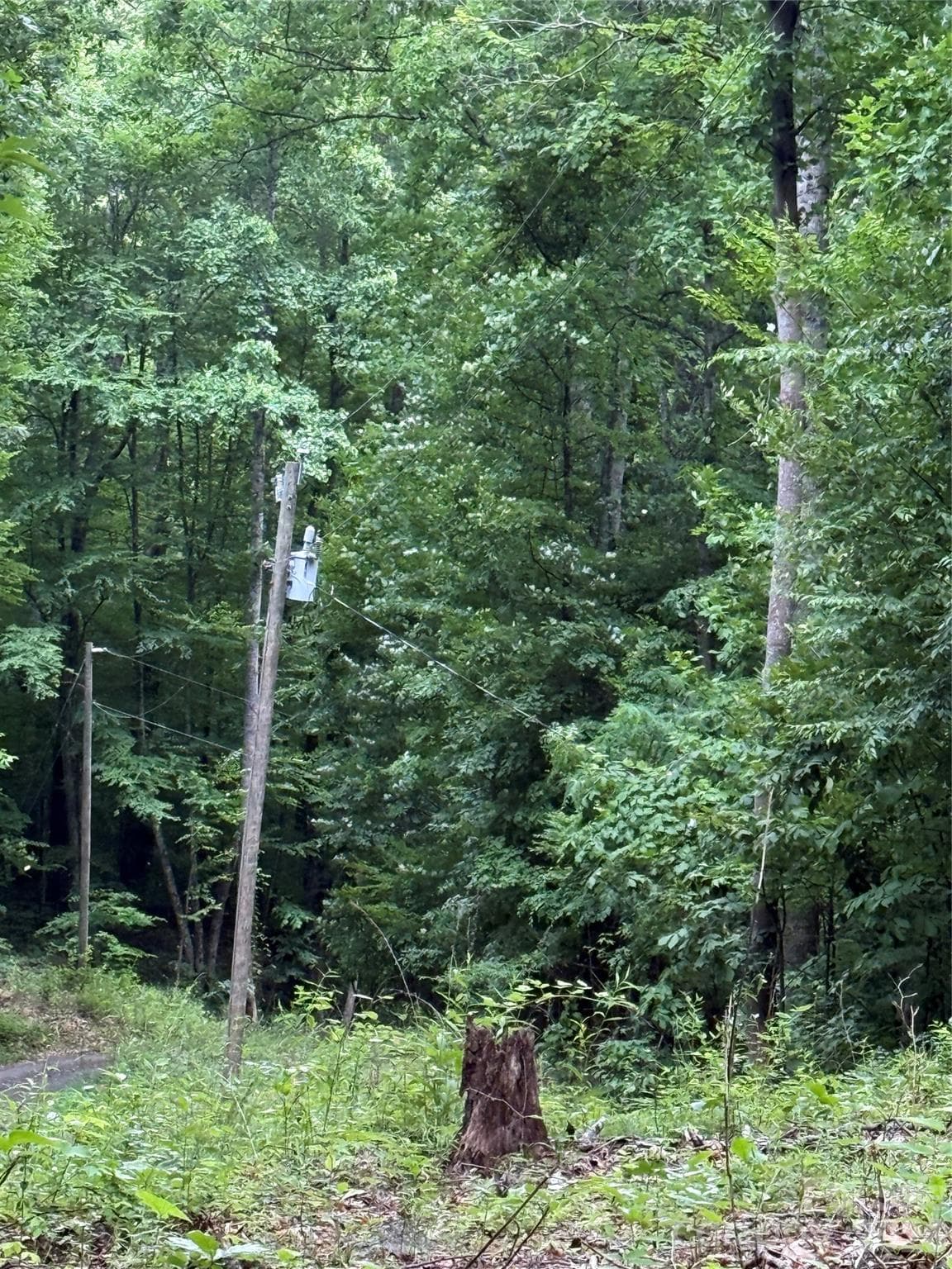 Lot at 9999 Countryside Estate, Barnardsville, photo 14 of 29