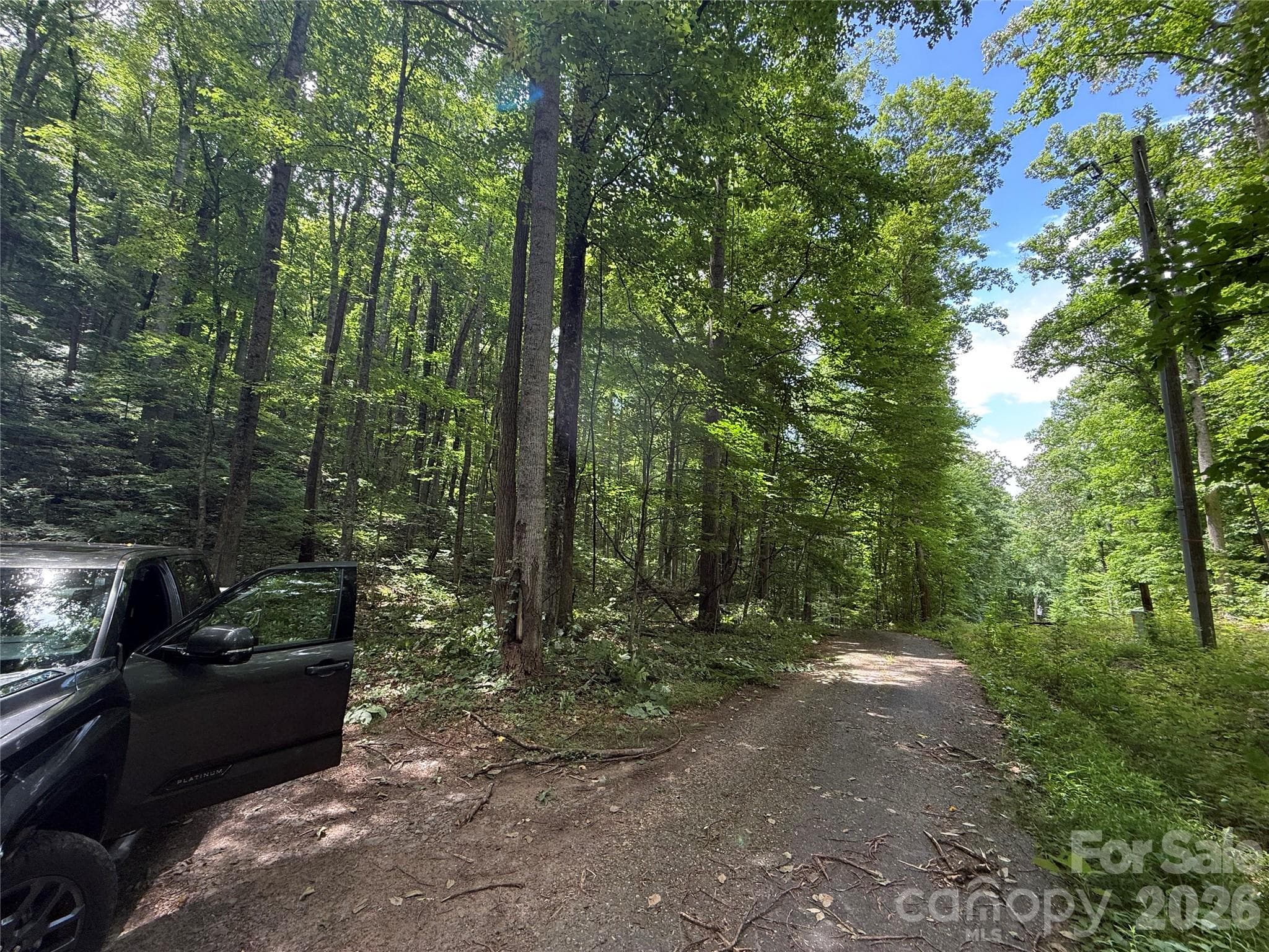 Lot at 9999 Countryside Estate, Barnardsville, photo 16 of 29