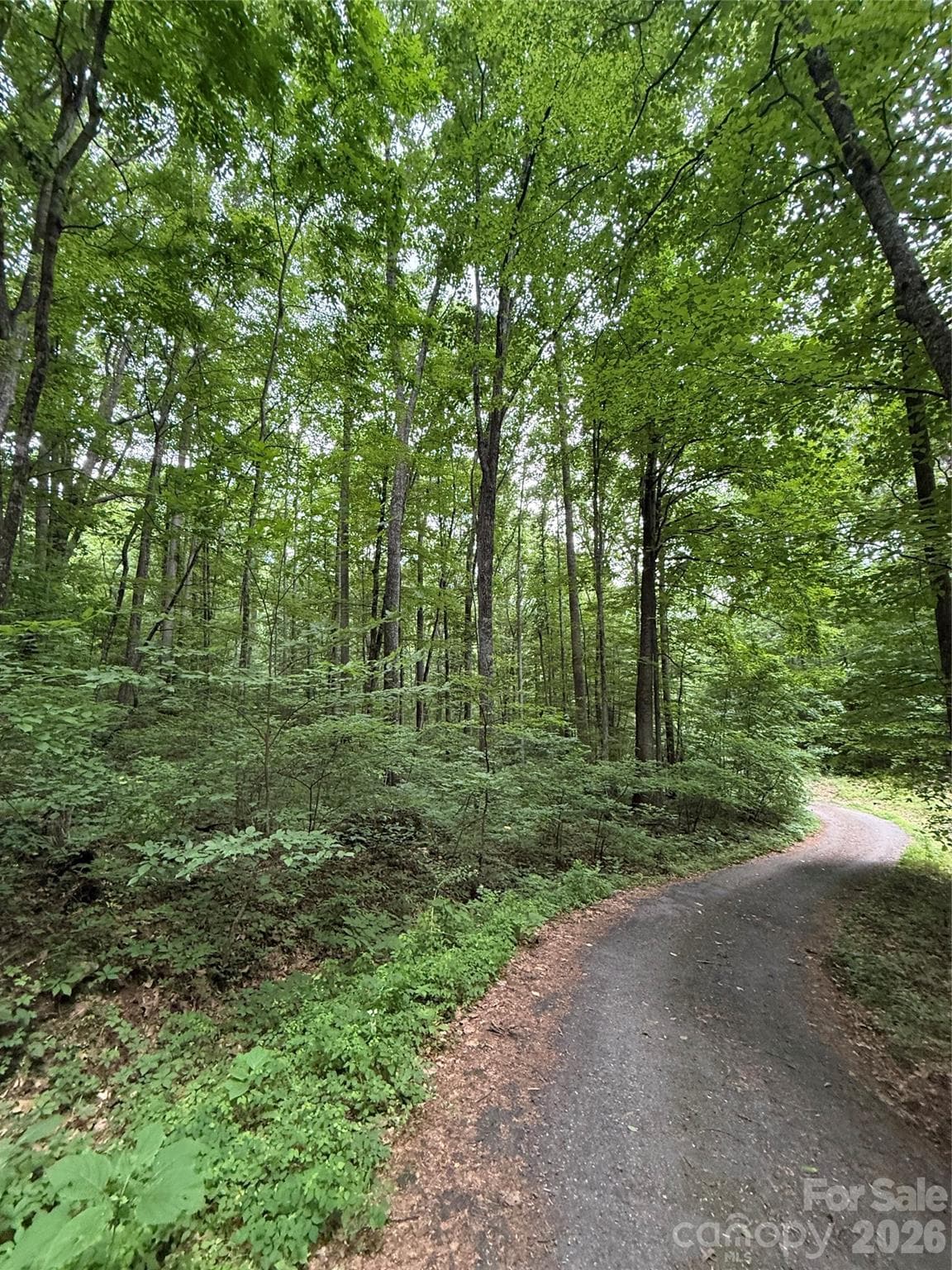 Lot at 9999 Countryside Estate, Barnardsville, photo 17 of 29