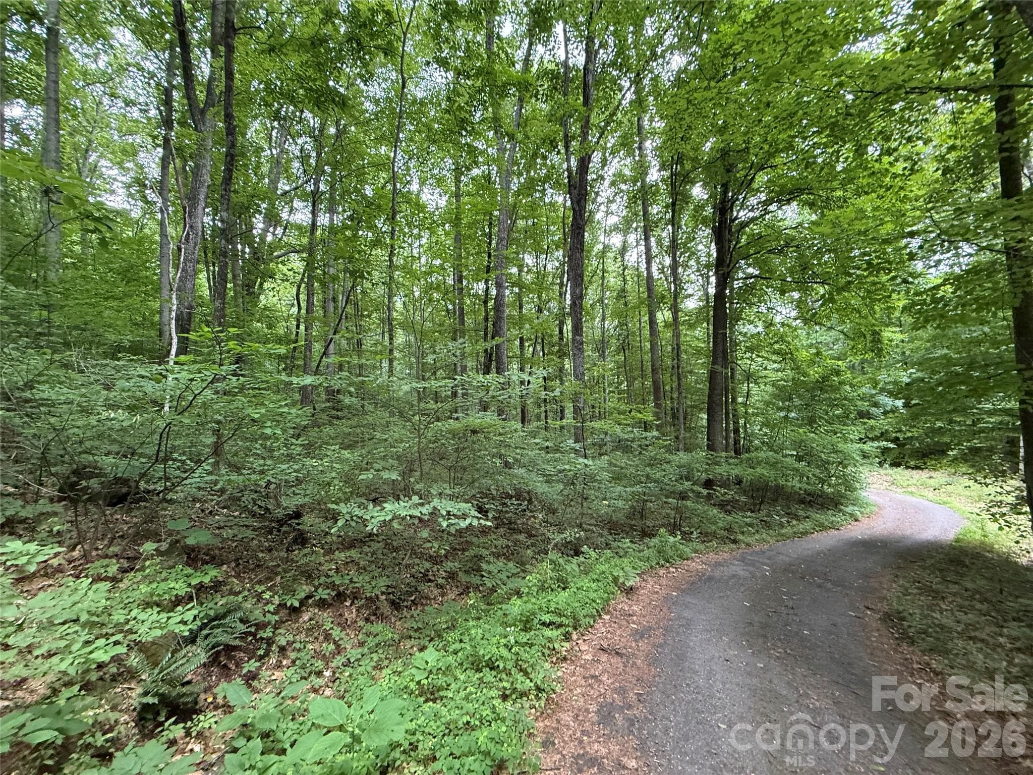 Lot at 9999 Countryside Estate, Barnardsville, photo 18 of 29