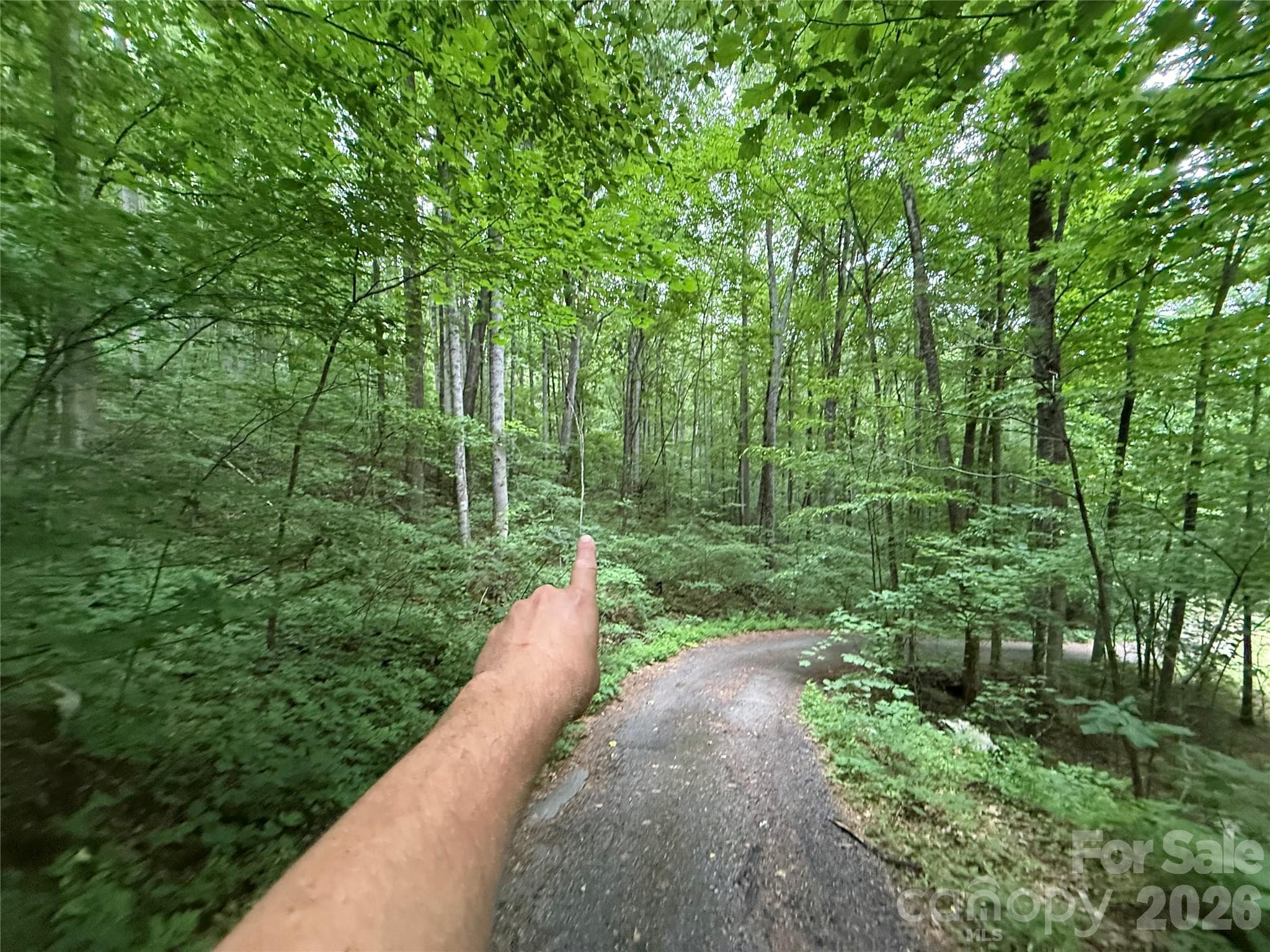 Lot at 9999 Countryside Estate, Barnardsville, photo 19 of 29