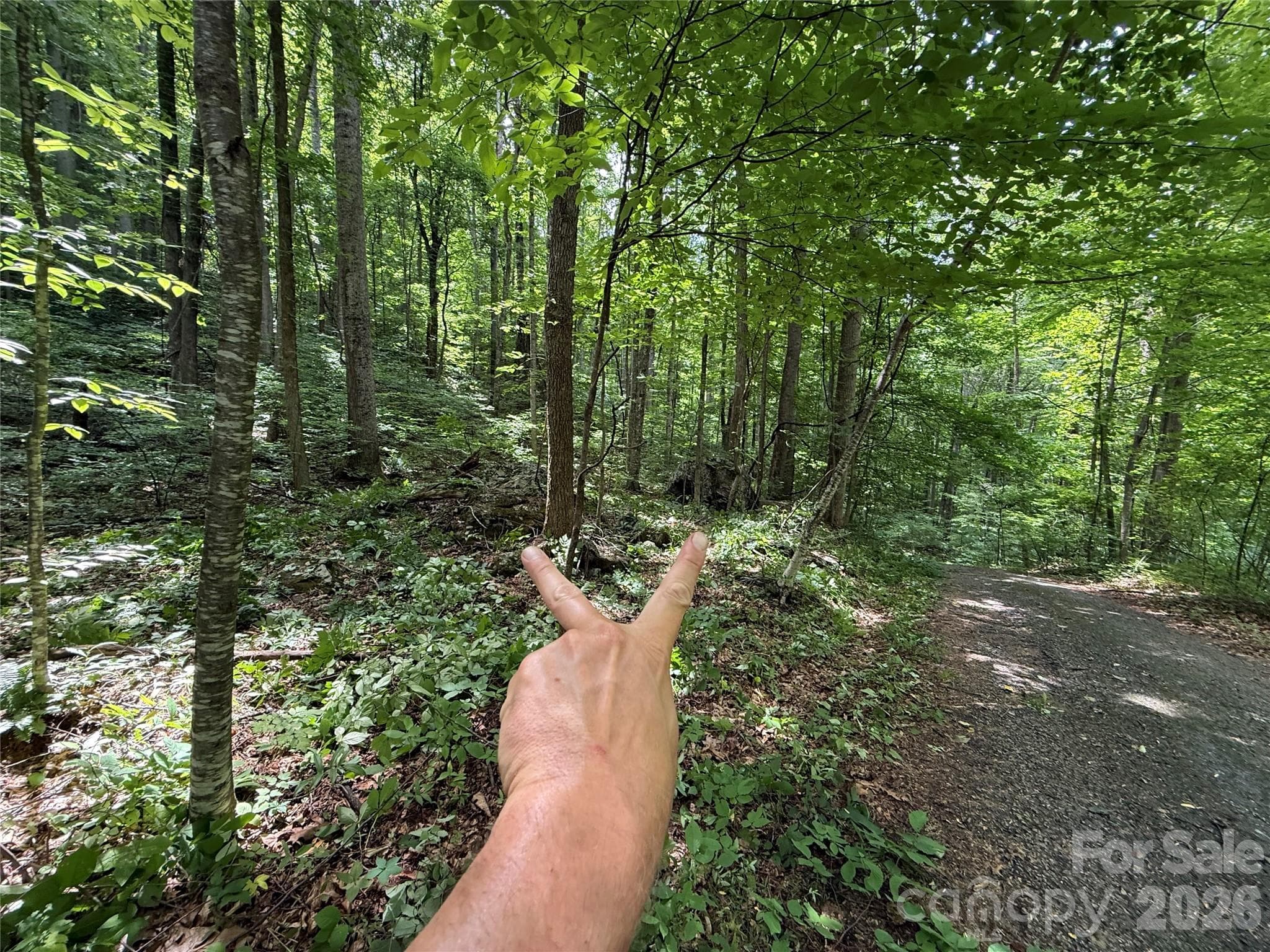 Lot at 9999 Countryside Estate, Barnardsville, photo 20 of 29