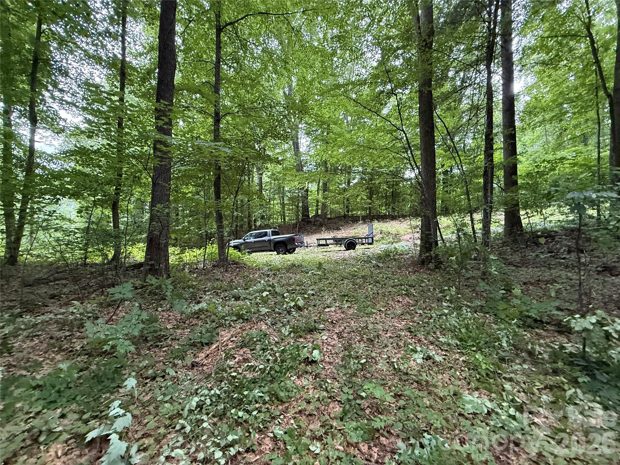 Lot at 9999 Countryside Estate, Barnardsville, photo 26 of 29