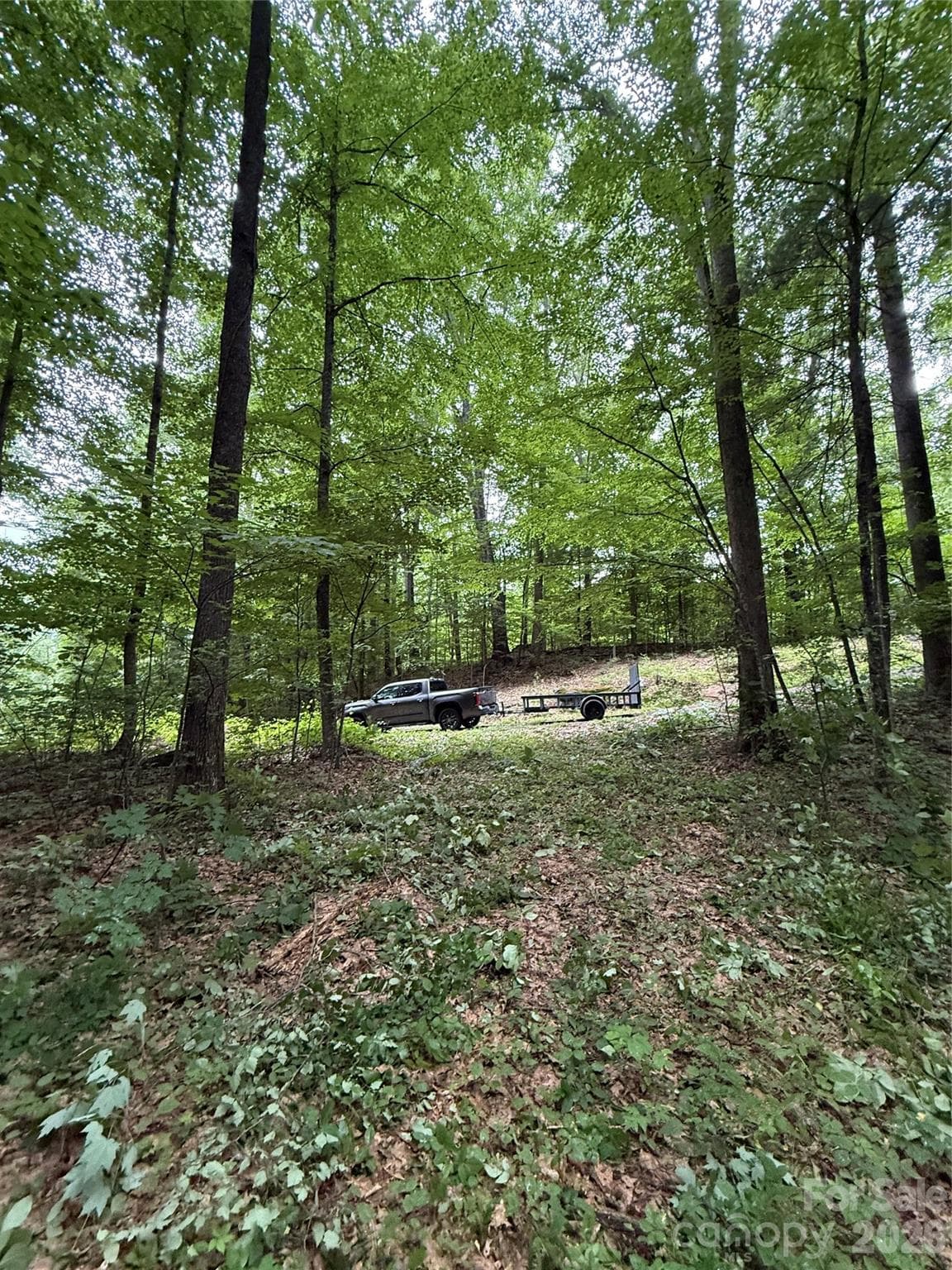 Lot at 9999 Countryside Estate, Barnardsville, photo 27 of 29