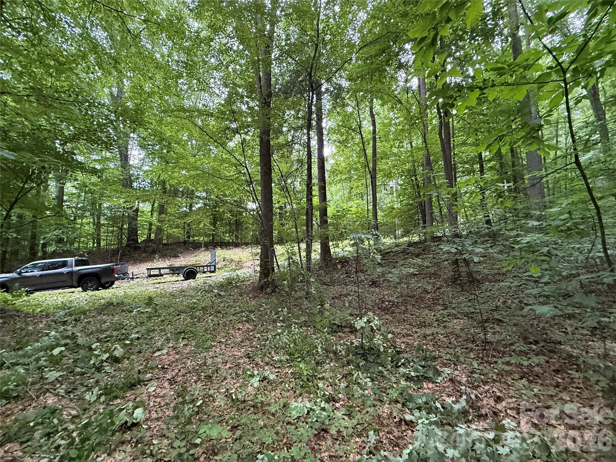 Lot at 9999 Countryside Estate, Barnardsville, photo 28 of 29