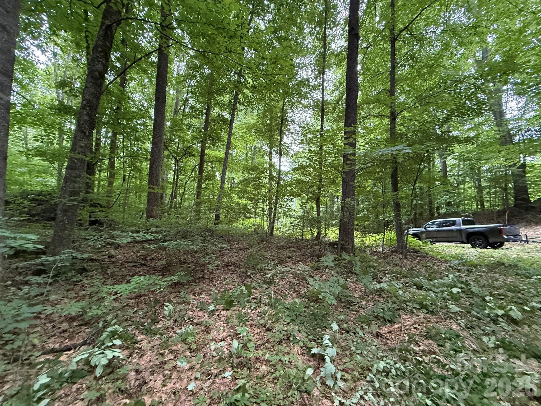 Lot at 9999 Countryside Estate, Barnardsville, photo 29 of 29