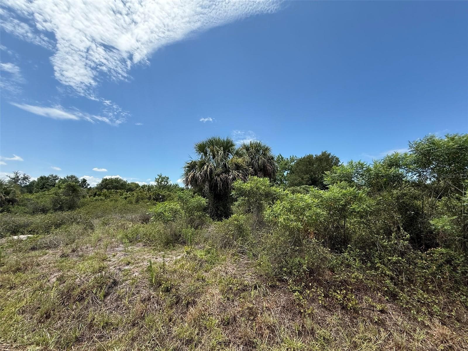 Land at 20174 NW 268TH ST, OKEECHOBEE, photo 2 of 13