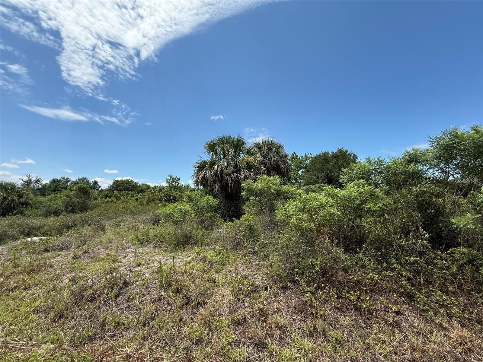 Land at 20174 NW 268TH ST, OKEECHOBEE, photo 3 of 13