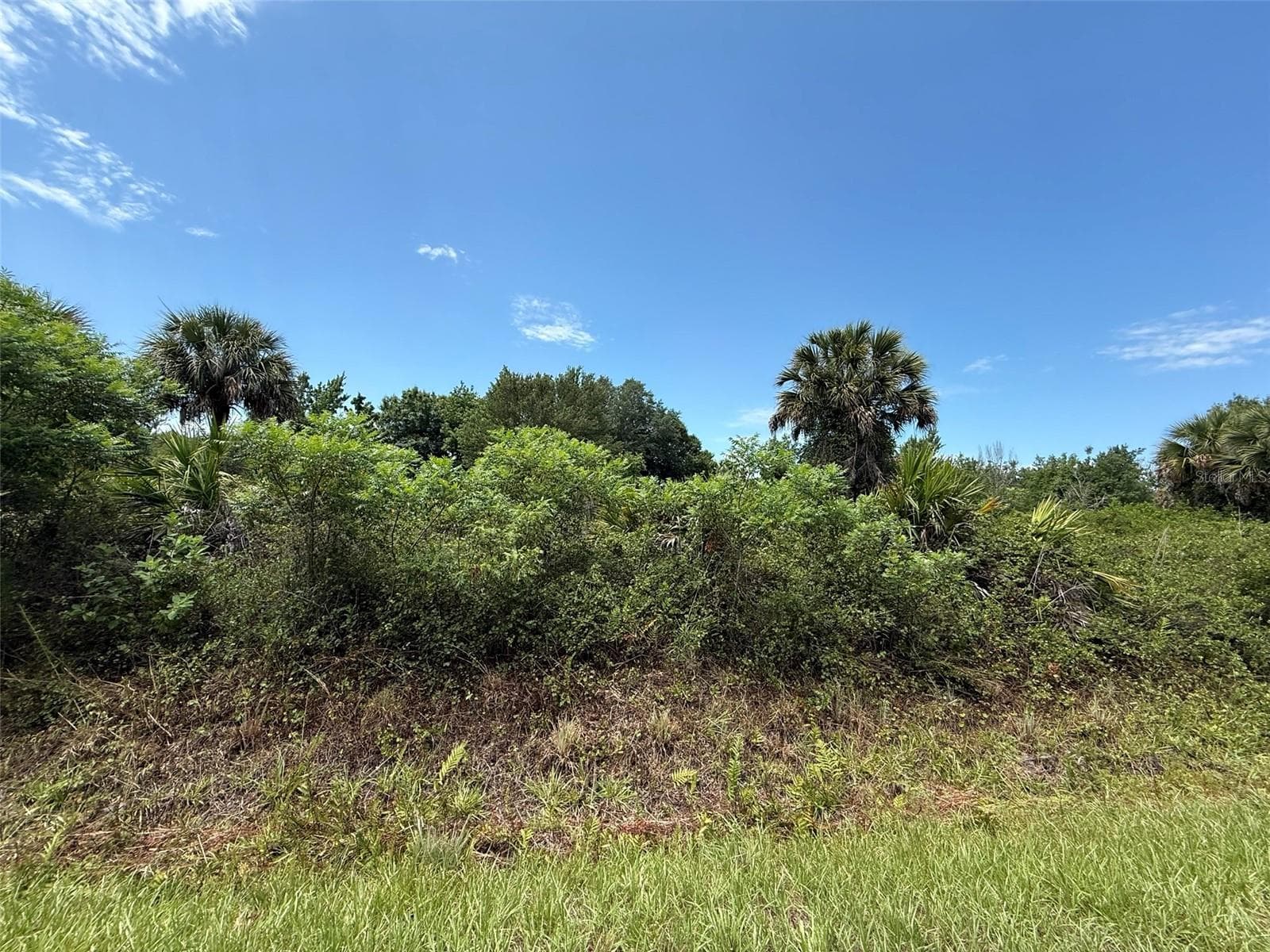 Land at 20174 NW 268TH ST, OKEECHOBEE, photo 4 of 13
