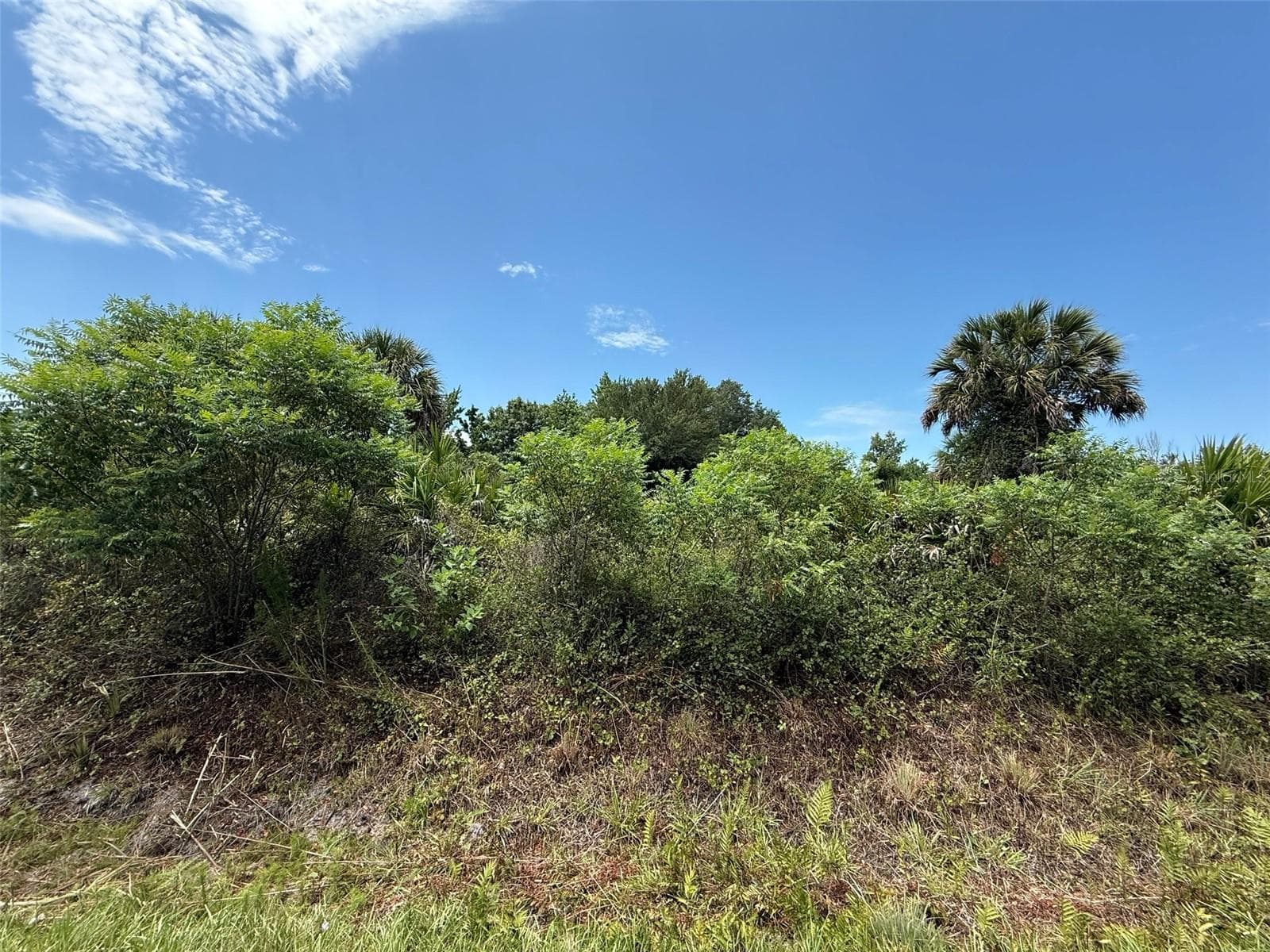 Land at 20174 NW 268TH ST, OKEECHOBEE, photo 5 of 13