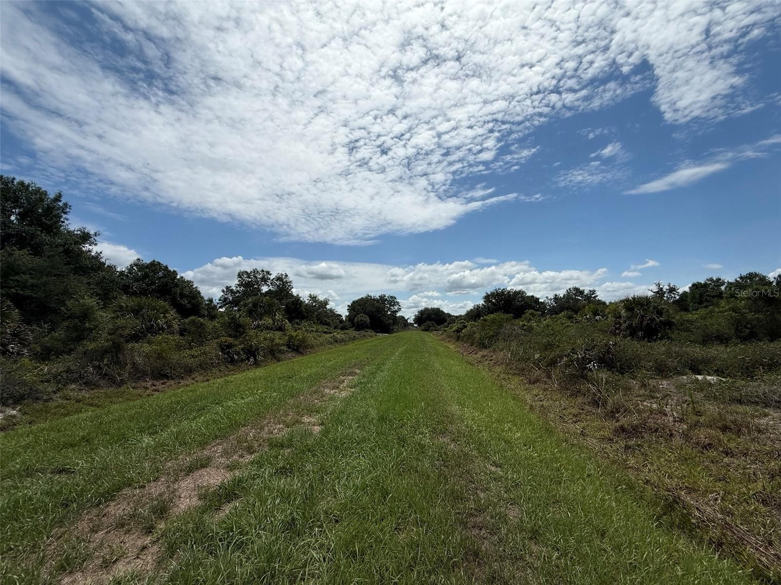 Land at 20174 NW 268TH ST, OKEECHOBEE, photo 7 of 13