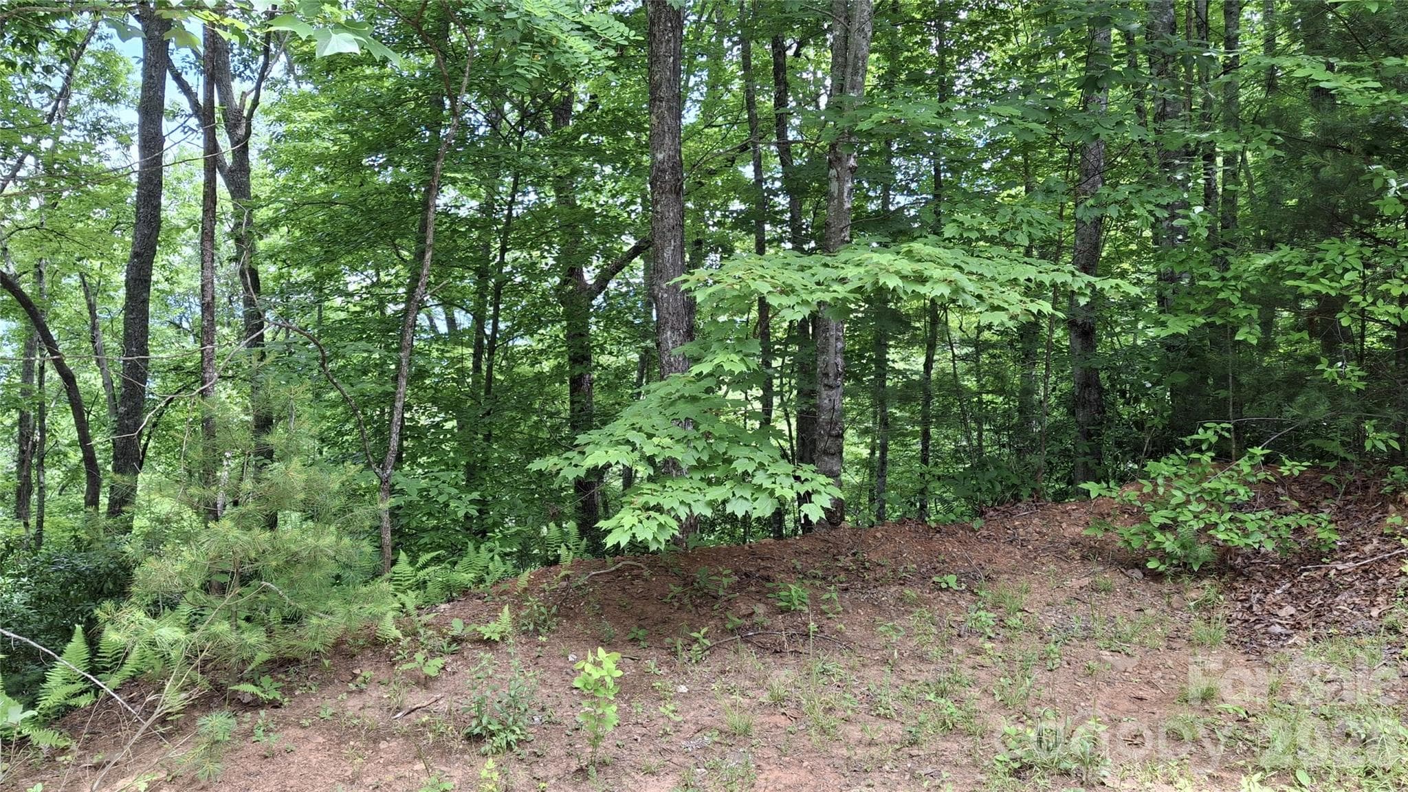 Lot at Sylva, photo 6 of 19