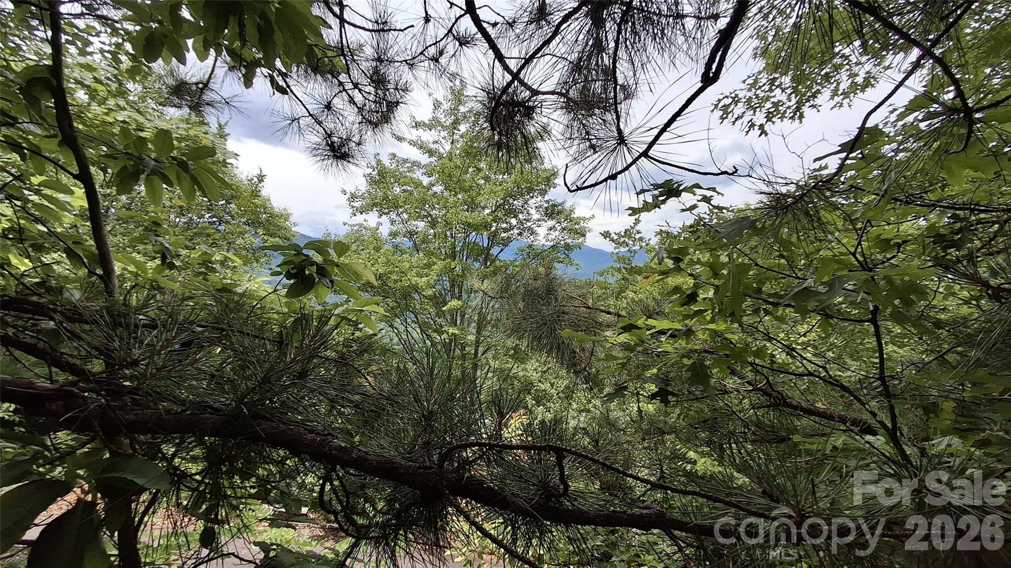 Lot at Sylva, photo 13 of 19