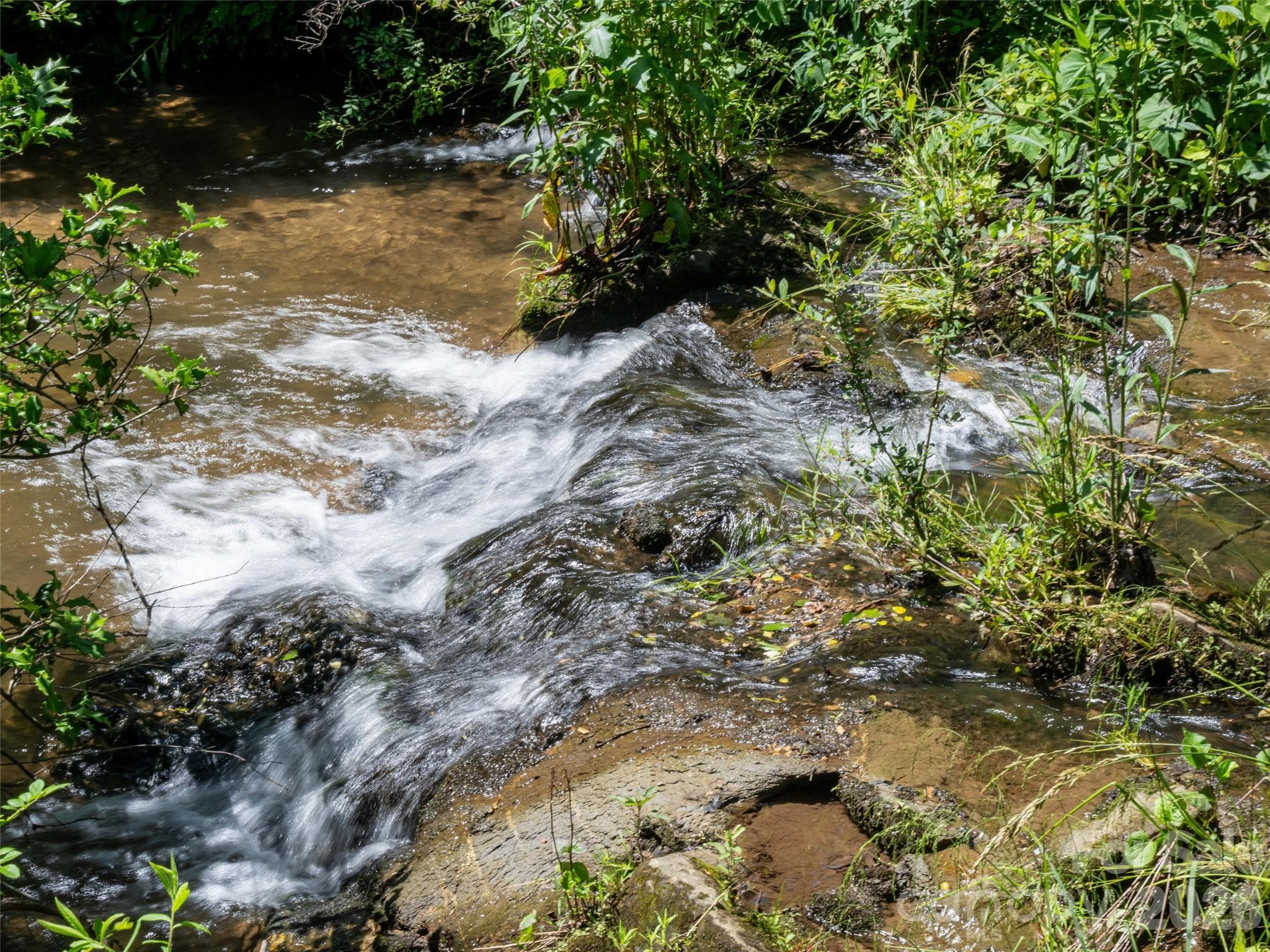 Avery Creek at the front of the property - 508 Avery Creek Road, Arden