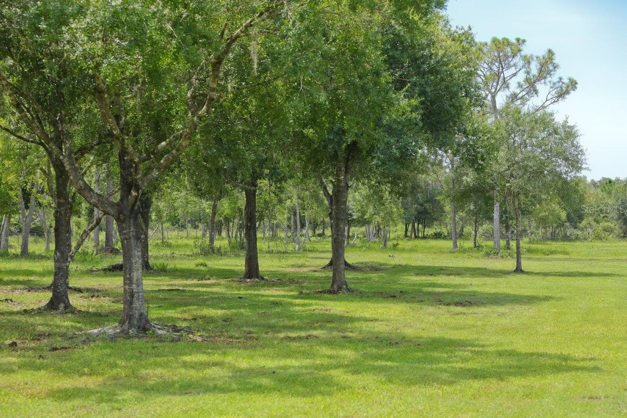 Single Family Residence at 34452 SINGLETARY RD, MYAKKA CITY, photo 23 of 34