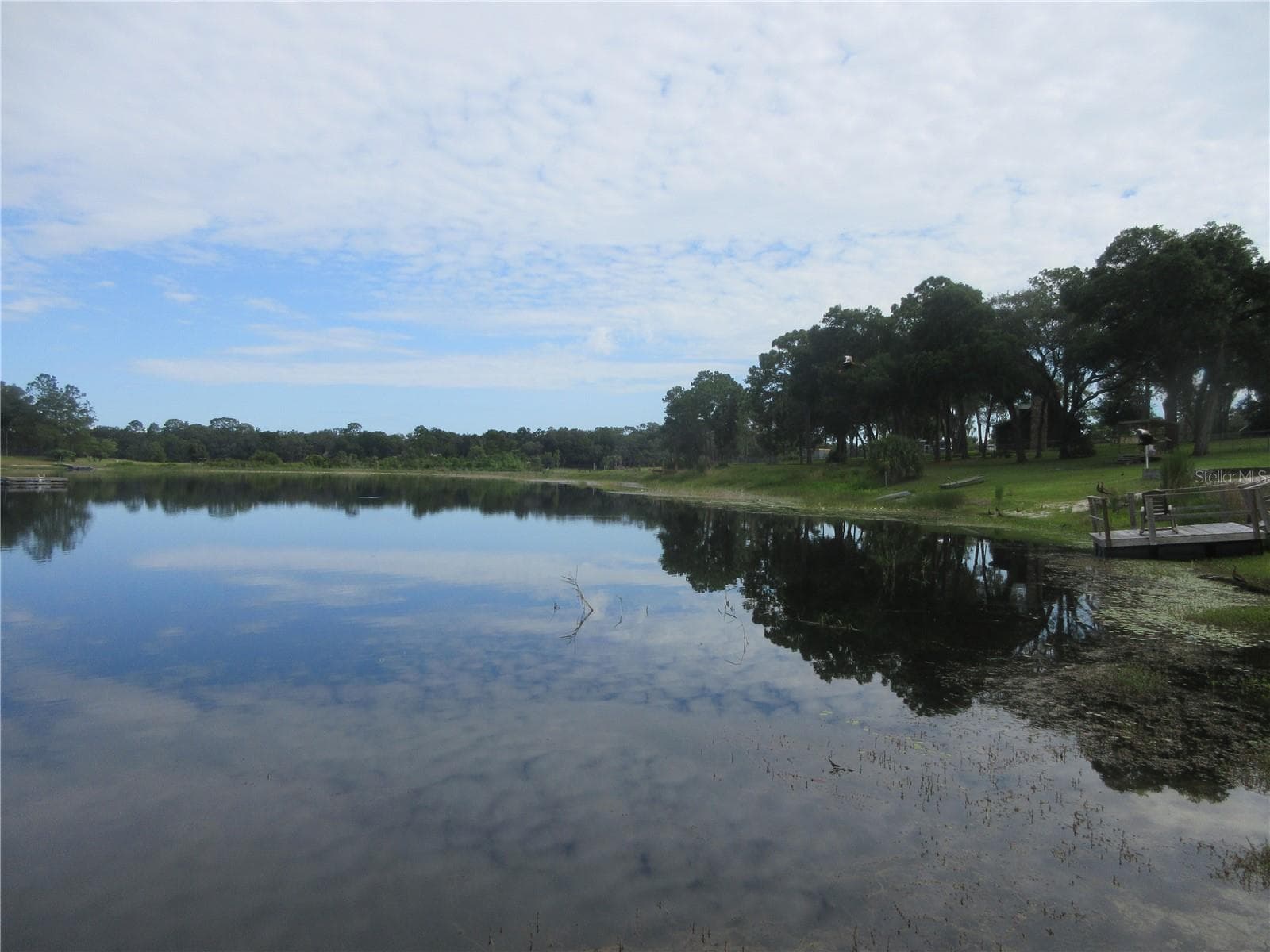 51 acre spring fed sandbottom crystal lake - 16849 SE 59TH PL, OCKLAWAHA