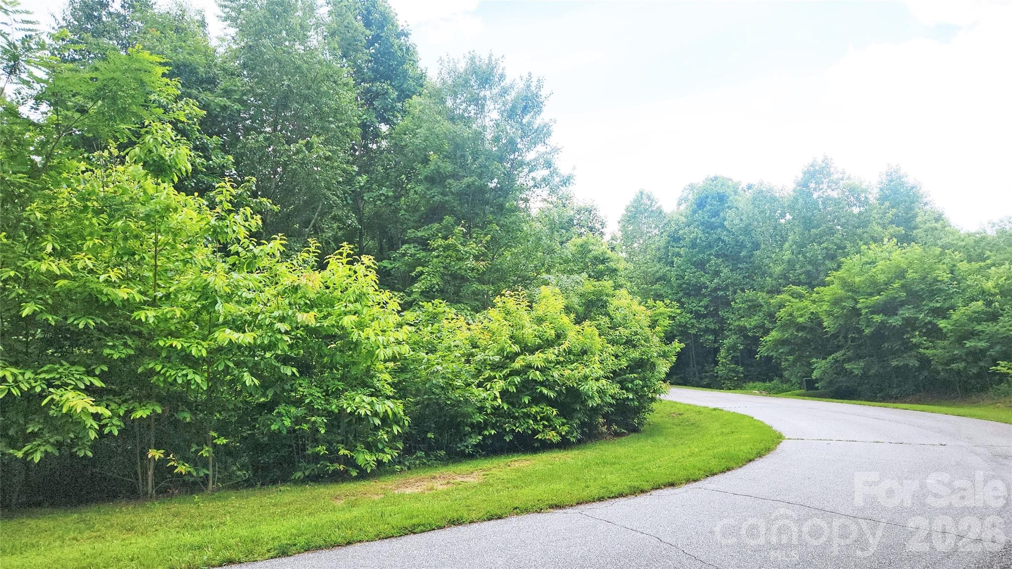 lot has several options for home placement - 9999 Red Bud Lane, Laurel Park